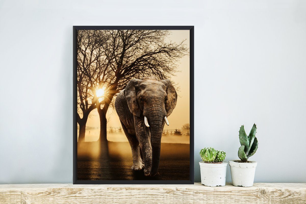 Elefant (1 Poster - Sonne, - Gerahmtes St), MuchoWow Poster, Bilder, Schwarzem Baum Bilderrahmen Wanddeko, Wandposter,