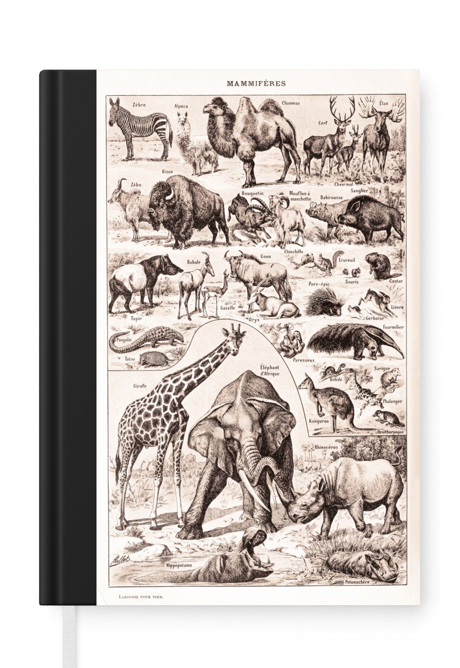 MuchoWow Notizbuch Tiere - Elefant - Schwarz - Weiß, Journal, Merkzettel, Tagebuch, Notizheft, A5, 98 Seiten, Haushaltsbuch | Notizbücher