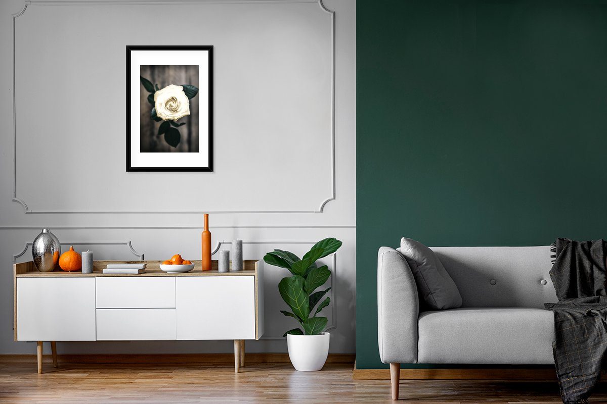 - (1 St), Weiß Bilderrahmen MuchoWow Gerahmtes Poster, Poster - Rahmen, mit Kunstdruck, Grau, Schwarzem Blume