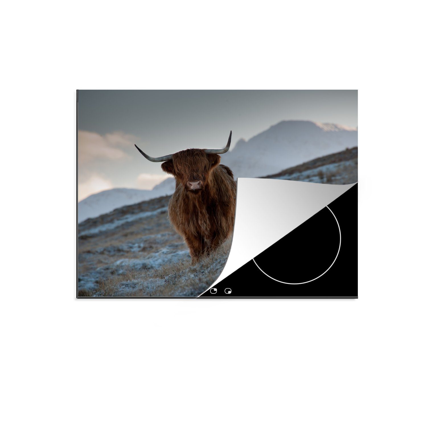 MuchoWow Herdblende-/Abdeckplatte Schottischer Hochländer - Landschaft - Schottland, Vinyl, (1 tlg), 59x52 cm, Ceranfeldabdeckung für die küche, Induktionsmatte