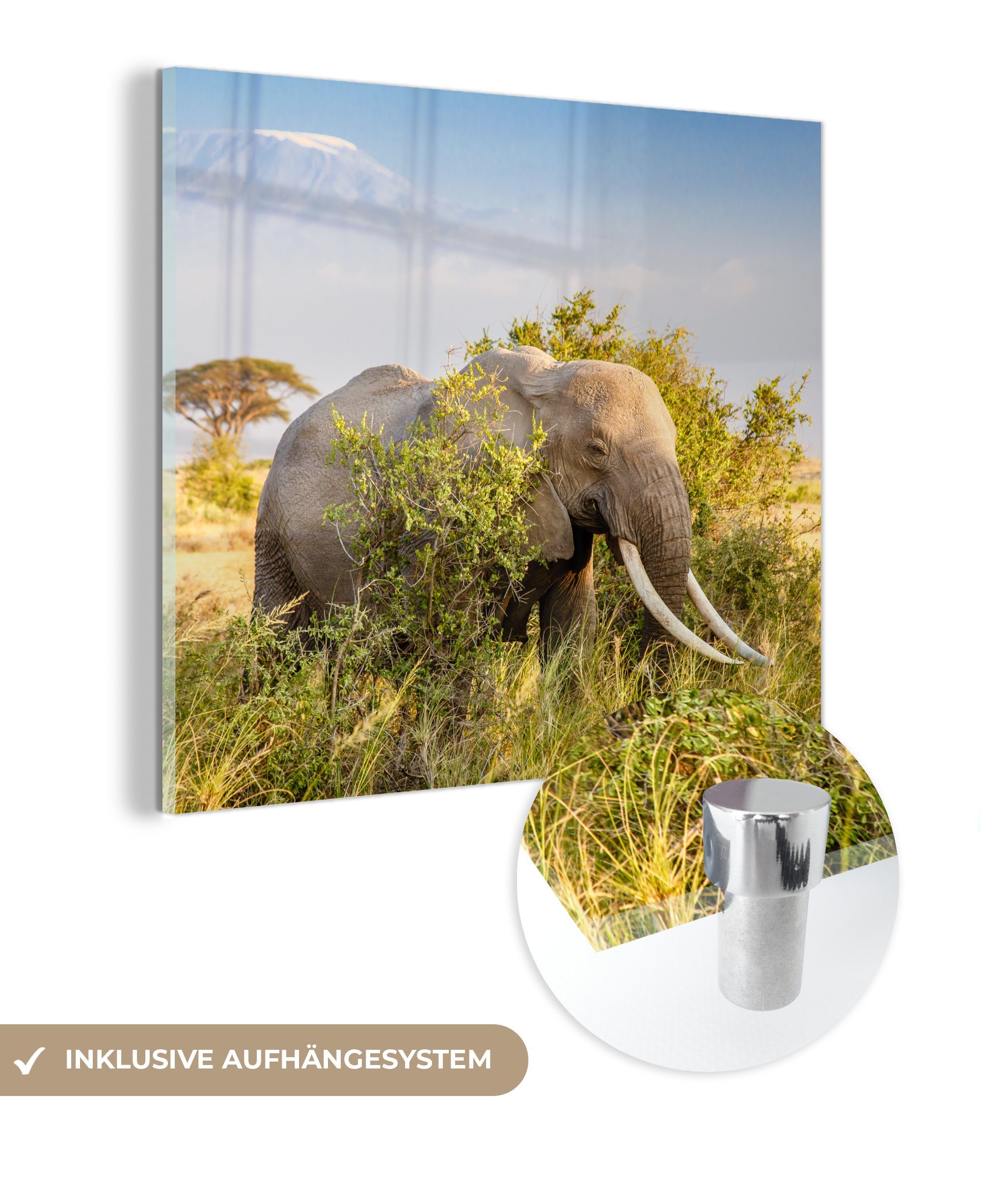 Glas Glasbilder Grün - - - Foto Elefant Tiere auf - - Wandbild - Gras Berg, Acrylglasbild auf MuchoWow (1 Wanddekoration St), Bilder Glas -