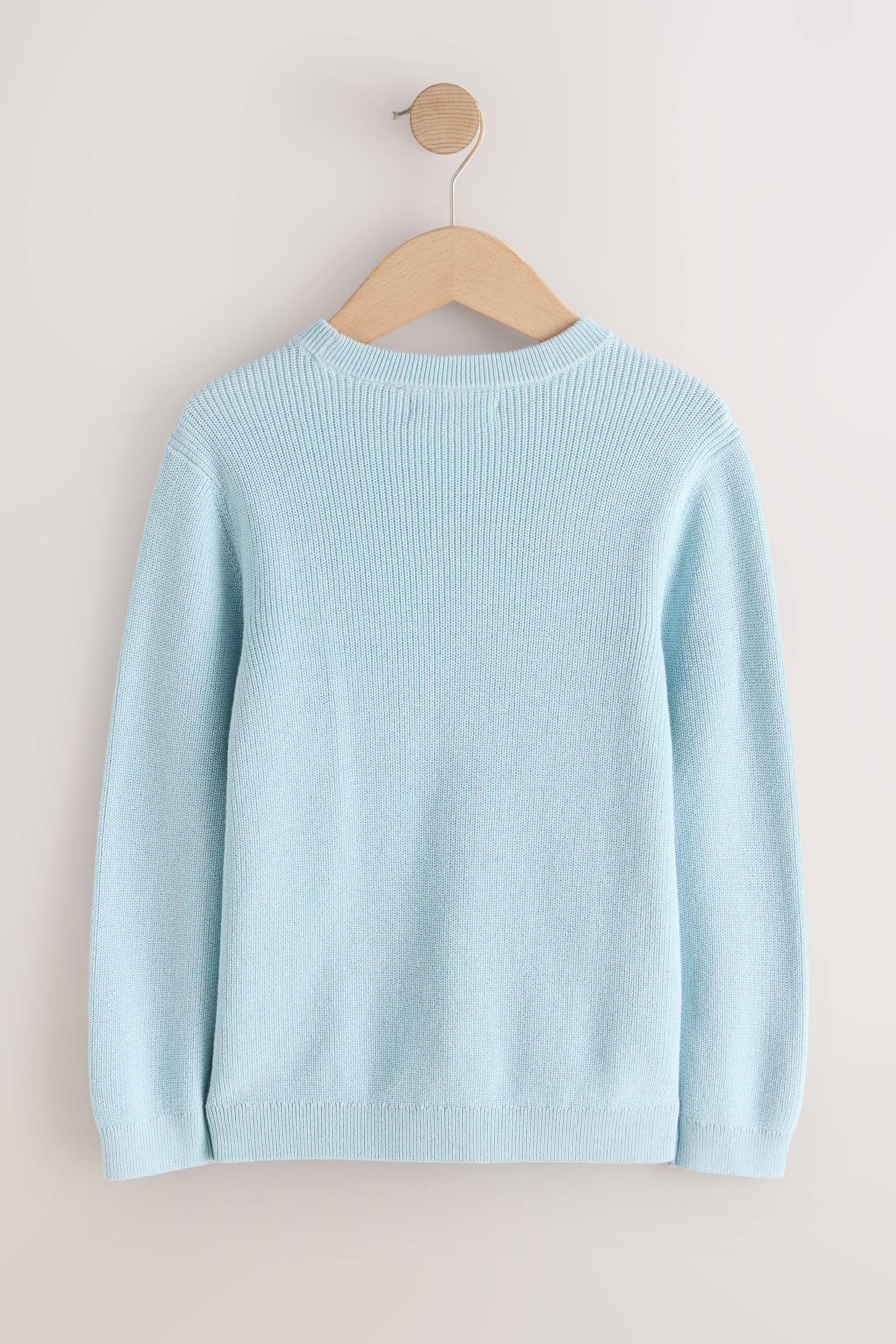 Next Rundhalspullover Strickpullover mit Rundhalsausschnitt Baumwolle (1-tlg)