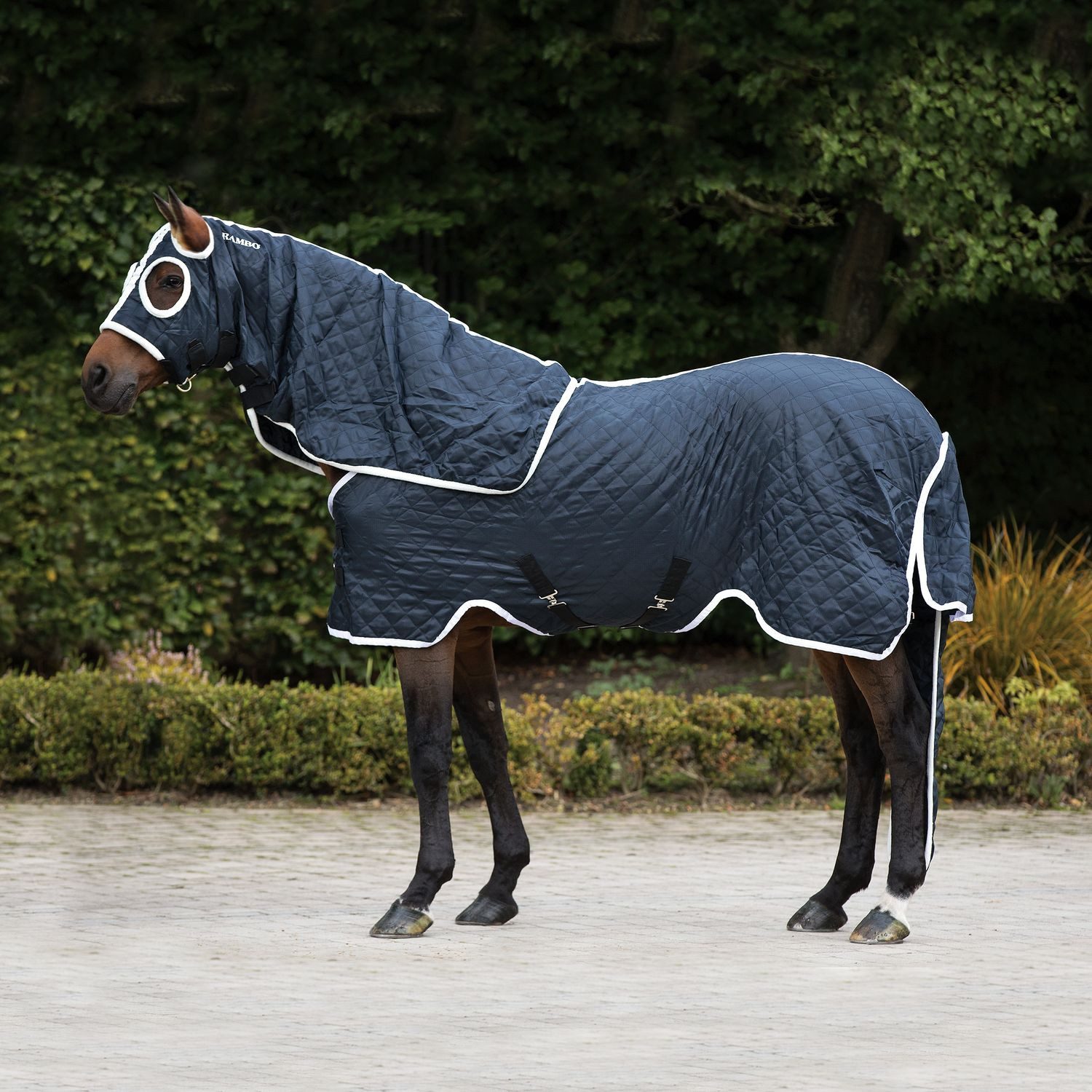 Pferde-Stalldecke Horseware Rambo Show Set Rug 100g - Navy/White