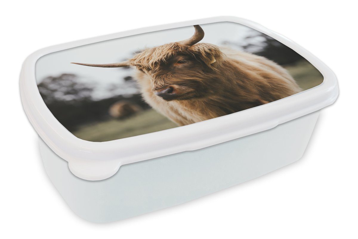 MuchoWow Lunchbox Schottischer Highlander - Tiere - Hörner, Kunststoff, (2-tlg), Brotbox für Kinder und Erwachsene, Brotdose, für Jungs und Mädchen weiß