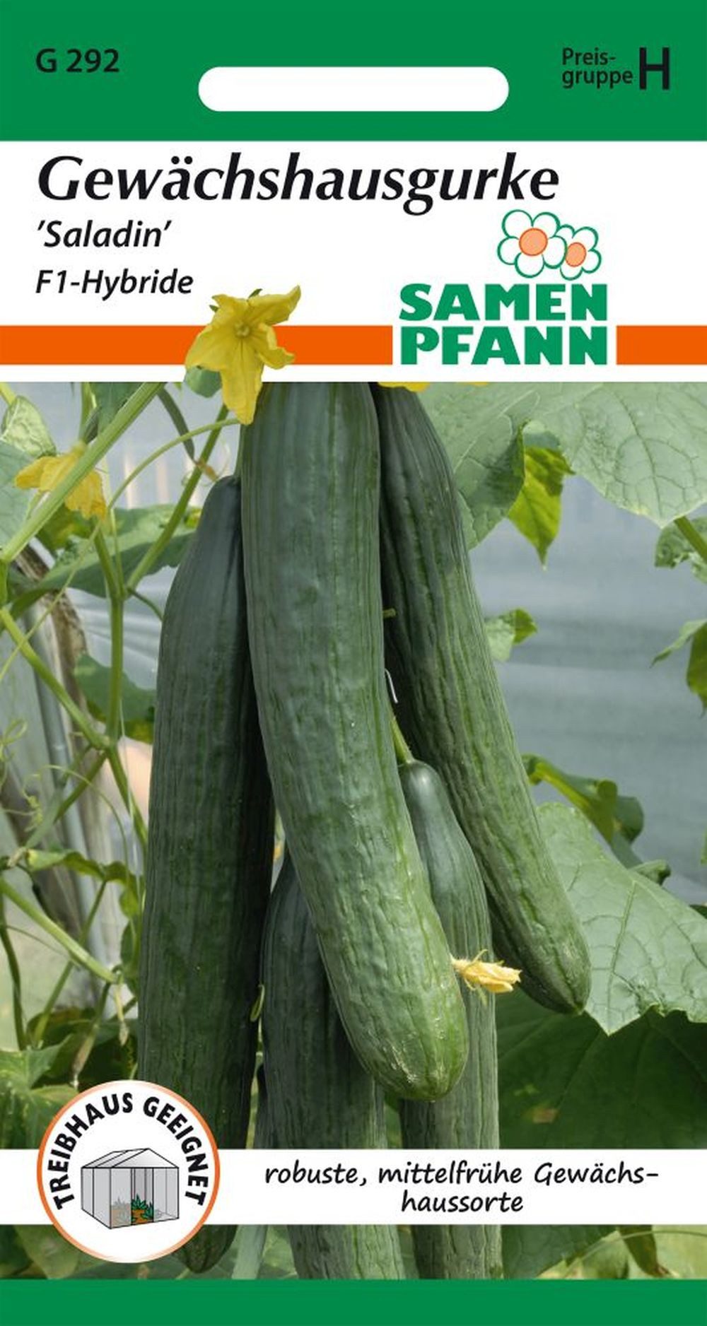 SAMEN PFANN Gemüsesamen Salatgurke, Saladin F1 - Gurken-Samen Saatgut Samen, Cucumis sativus, var. Saladin F1