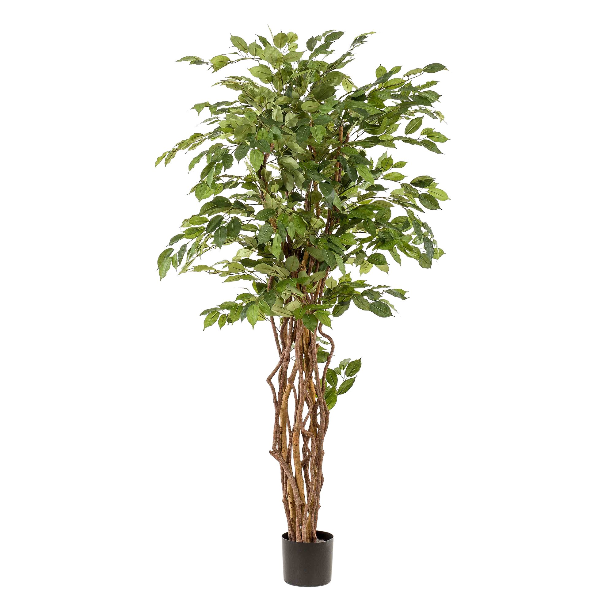 Kunstpflanze Kunstbaum Ficus Liana – Geigenfeige – 170 cm Geigenfeige, Florora, Höhe 170 cm, detailreiche Blattstruktur
