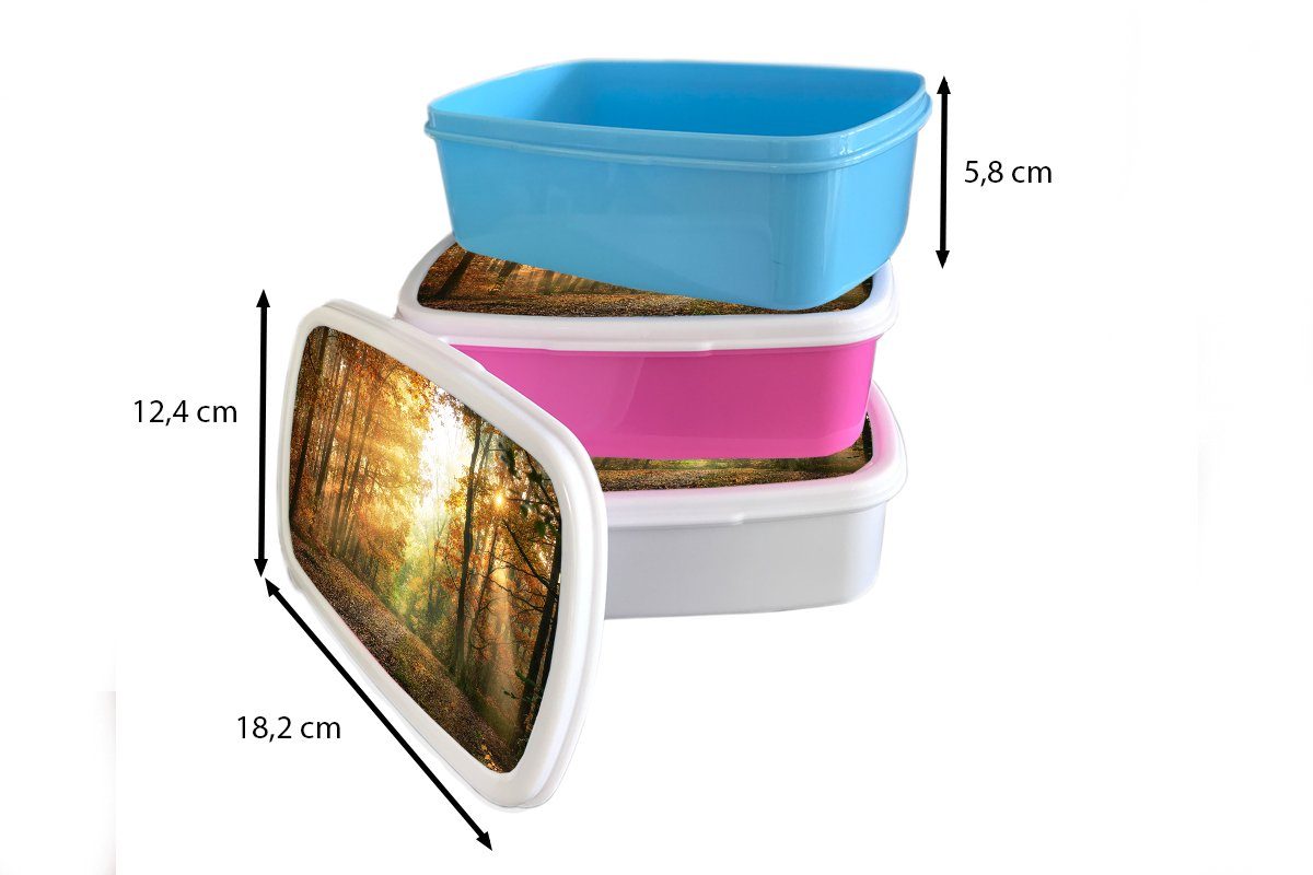MuchoWow Lunchbox - - weiß Brotbox Wald - für Herbst - Sonne Laub, Landschaft Kinder Mädchen Brotdose, und und für Natur (2-tlg), - - Erwachsene, Bäume Kunststoff, Jungs