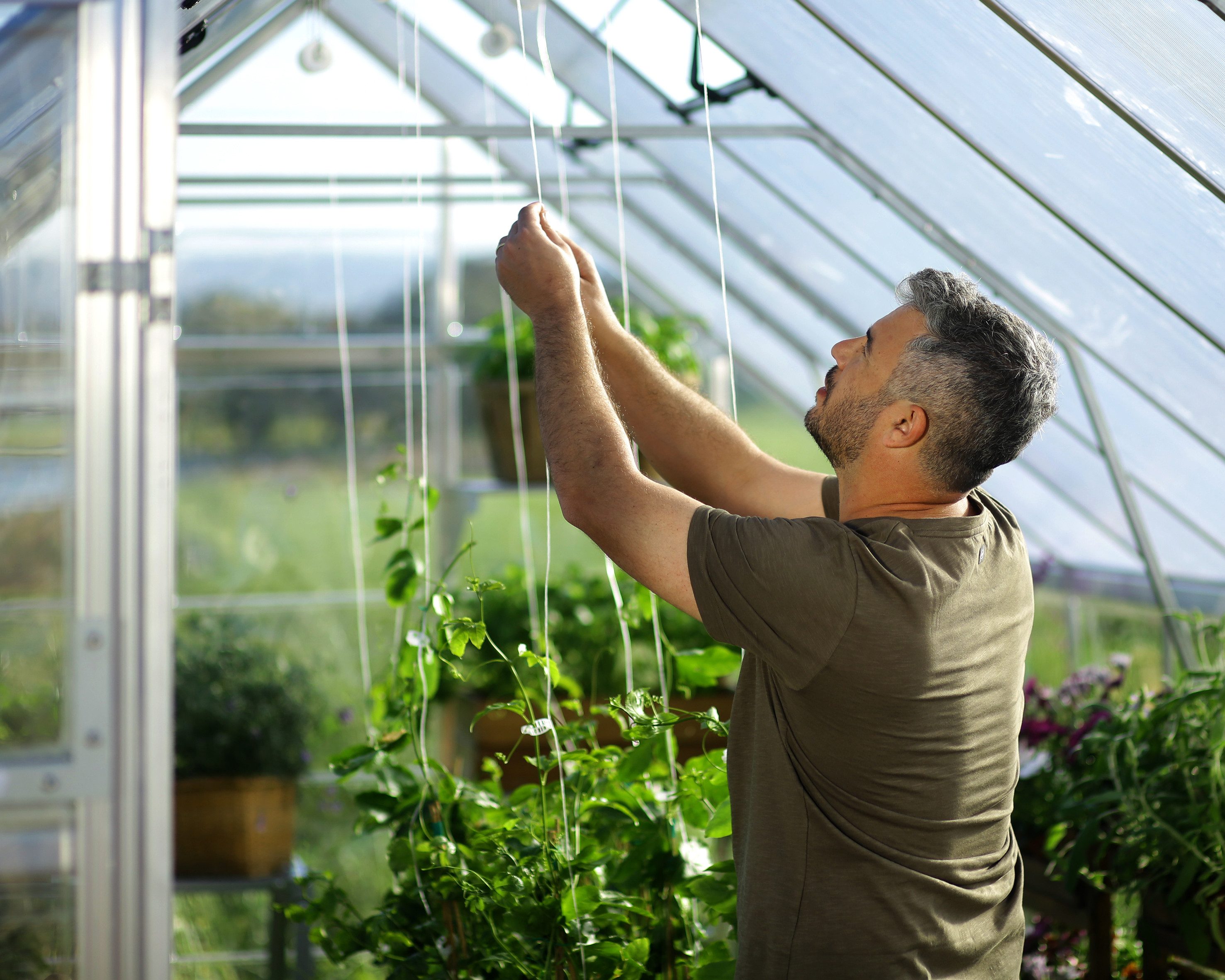 Palram - Canopia Gewächshaus Balance, BxTxH: 304 x 724 x 257 cm, BxLxH: 50 x 126 x 257 cm, 0,7 mm Wandstärke, lebenslang widerstandsfähige Wandpaneele