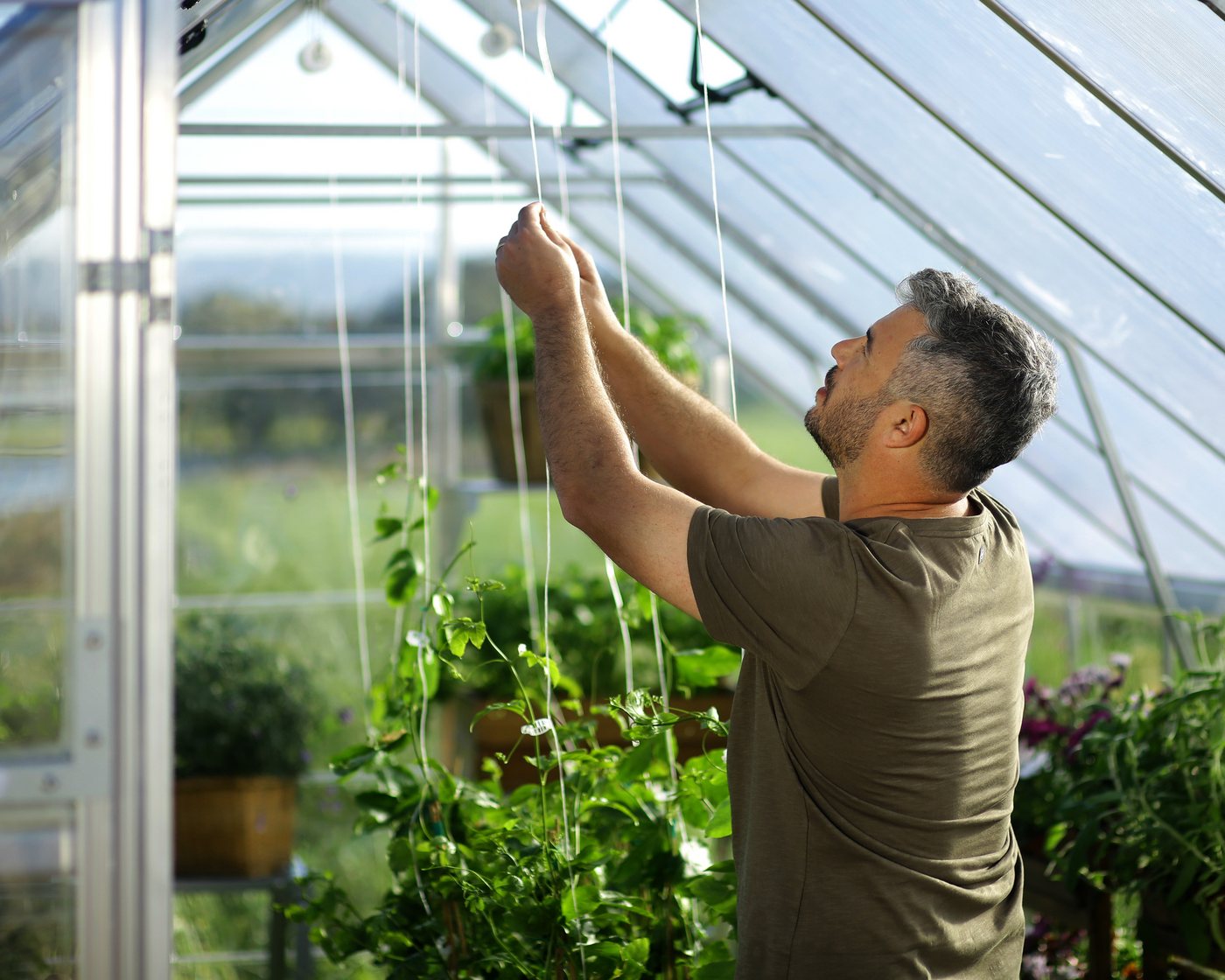 Palram - Canopia Gewächshaus Balance, B... Palram - Canopia Gewächshaus Balance, B...