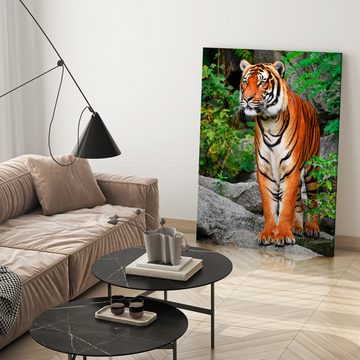 wandmotiv24 Leinwandbild Tiere, Hochformat, Tiger, Tiere (1 St), Wandbild, Wanddeko, Leinwandbilder in versch. Größen
