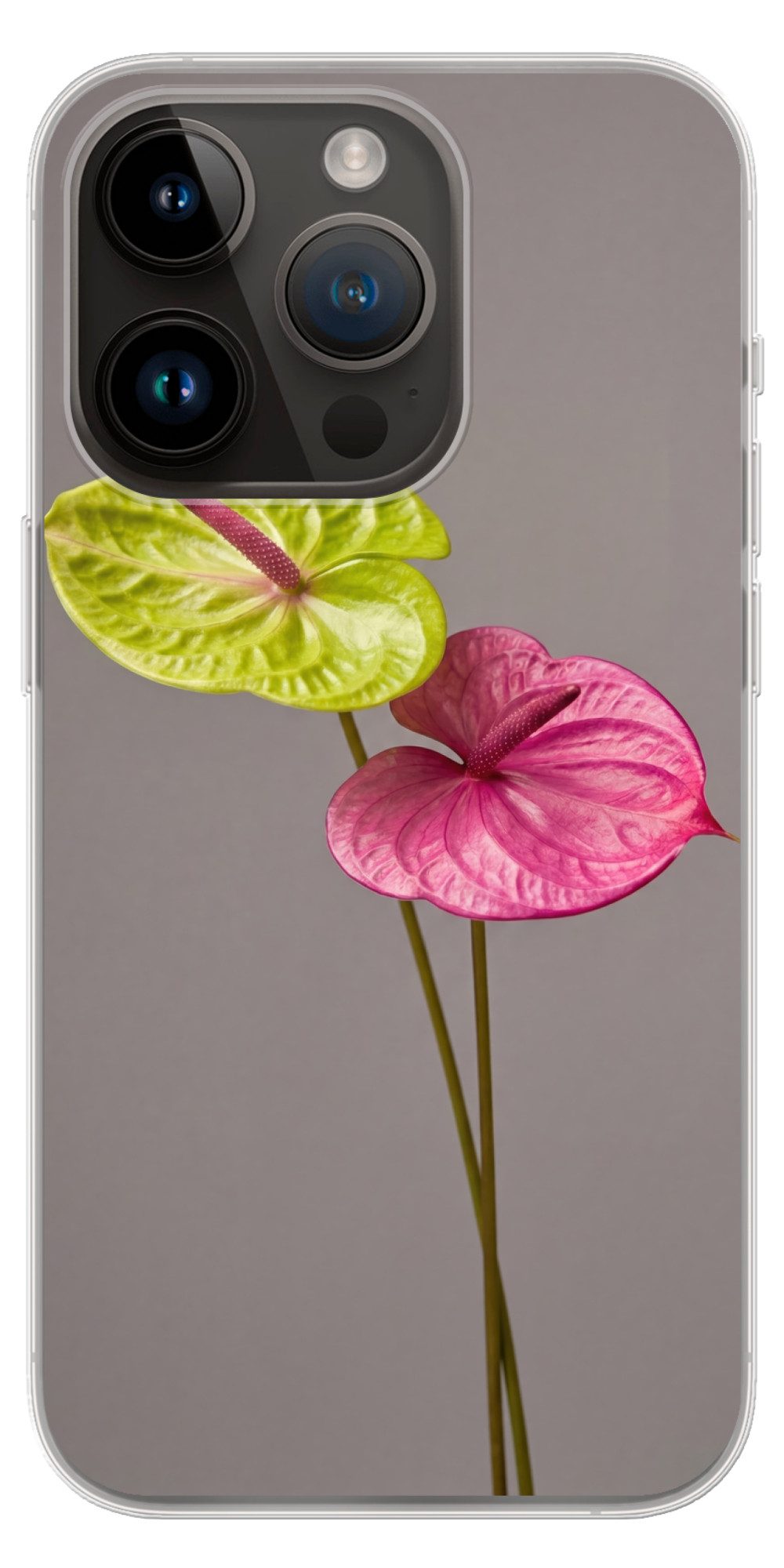 MuchoWow Handyhülle für Apple iPhone 14 Pro Pflanzen - Anthurium - Grün - Rosa, Smartphone-Bumper, Print, Handy Schutzhülle Dünn