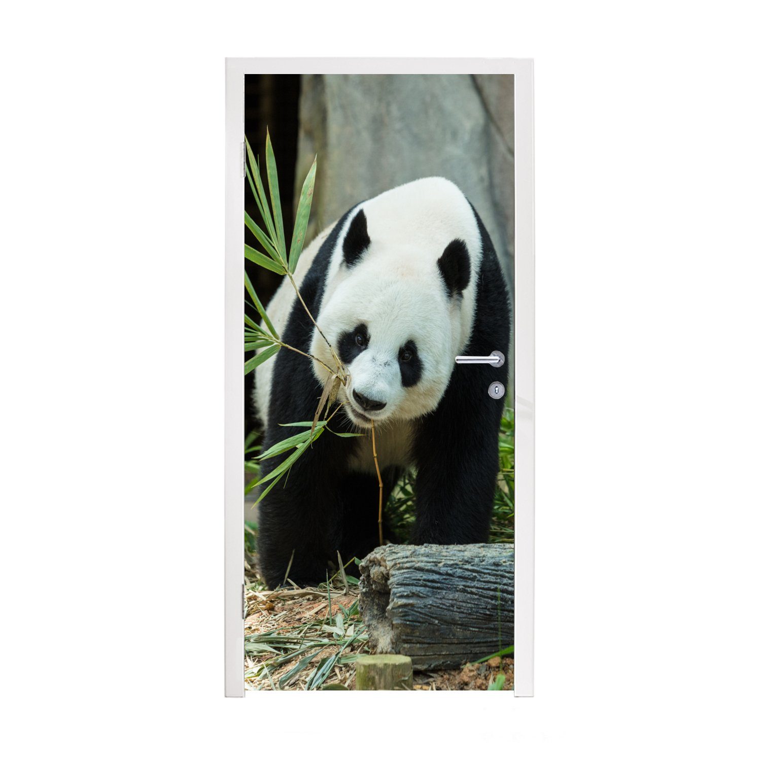 MuchoWow Türtapete Panda - Baumstamm - Höhle, Matt, bedruckt, (1 St), Fototapete für Tür, Türaufkleber, 75x205 cm