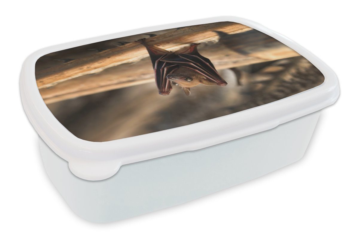 Brotbox Fledermaus Kinder - für weiß Brotdose, MuchoWow Lunchbox und - (2-tlg), und Kunststoff, für Erwachsene, Holz, Jungs Mädchen Baby