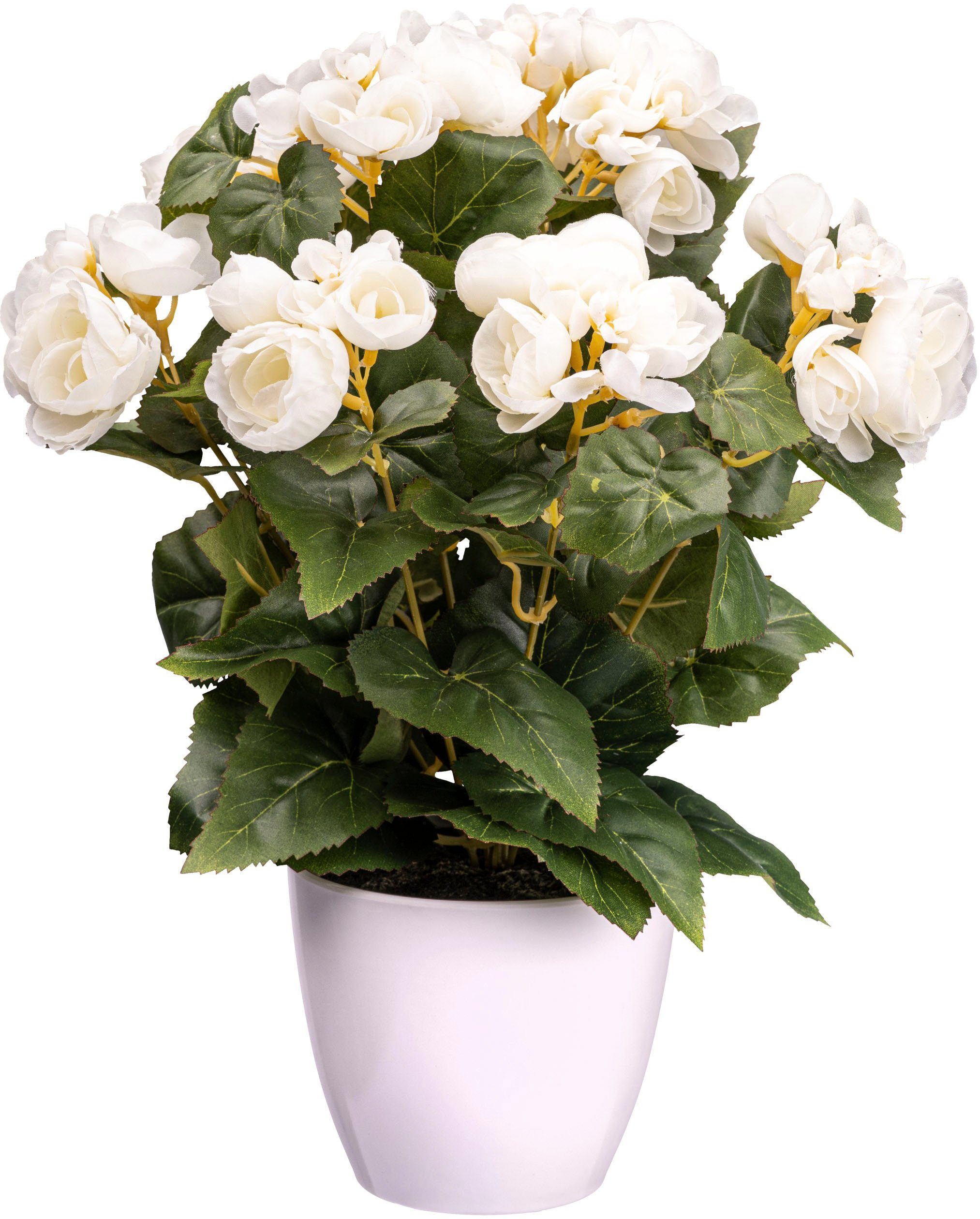 Kunstblume Begonienbusch Begonie, Creativ green, Höhe günstig online kaufen