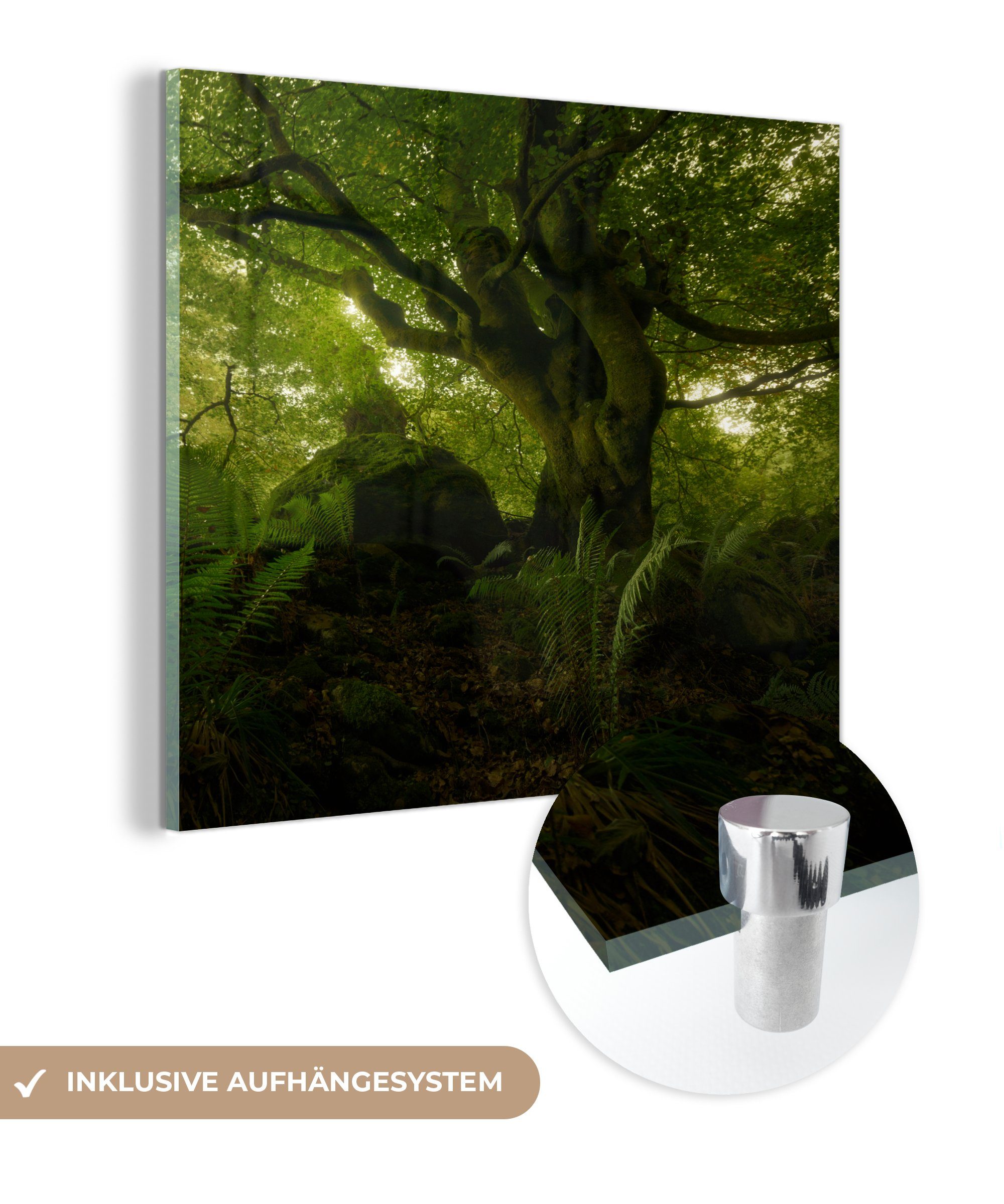 Acrylglasbild St), (1 Glas - Glasbilder Bilder Foto Glas auf Wandbild auf Wald, - MuchoWow Wanddekoration - Dunkelgrüner