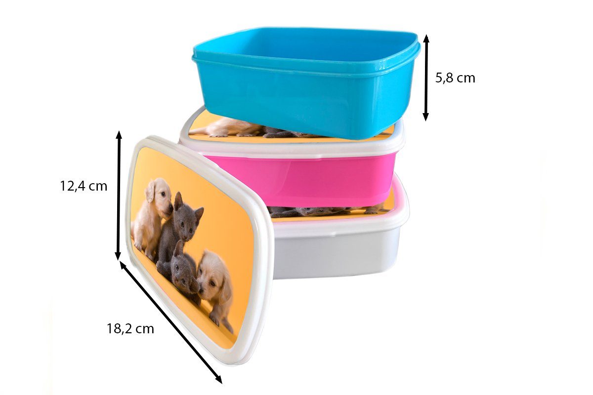 Lunchbox weiß für Tiere, Kätzchen Kinder und Welpe Kunststoff, und (2-tlg), für Jungs Brotbox - Erwachsene, MuchoWow Brotdose, Mädchen -