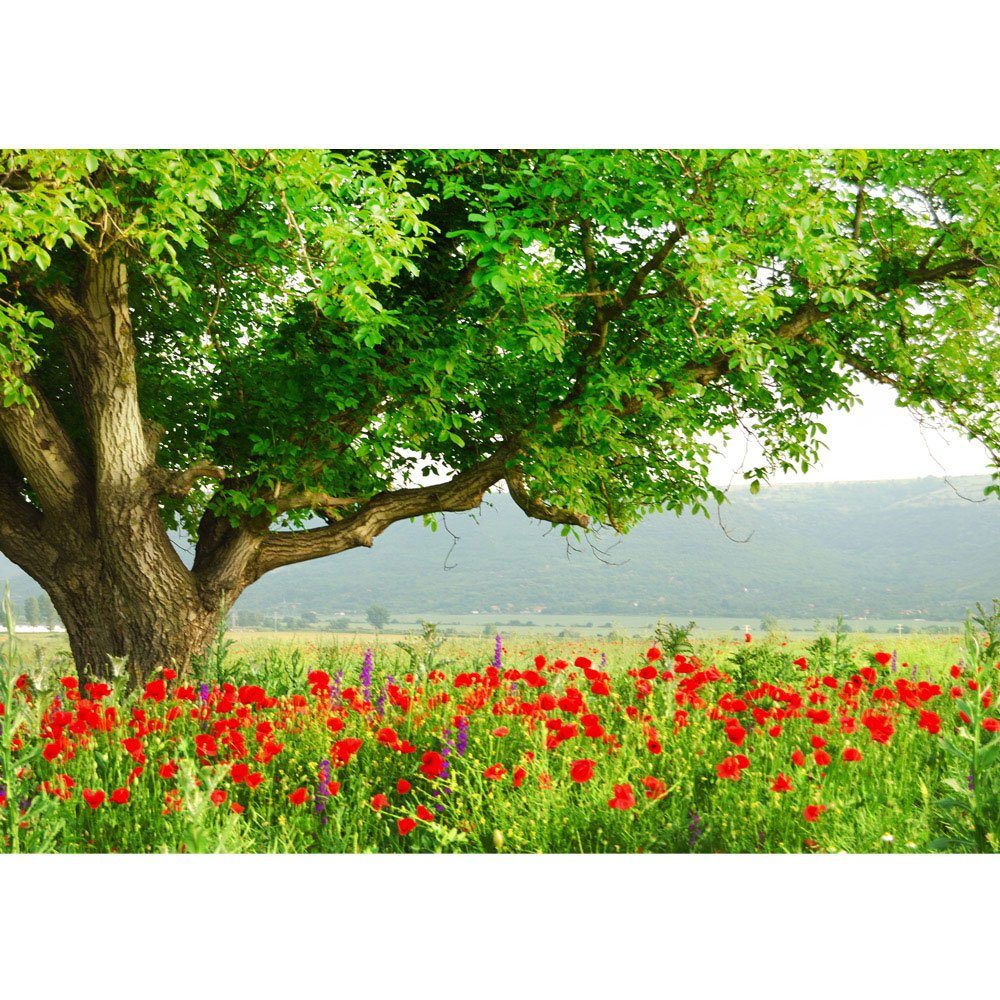 liwwing Fototapete Fototapete Natur Mohn Feld Baum Wald Bäume rot grün Idyll liwwing no. 90, Natur