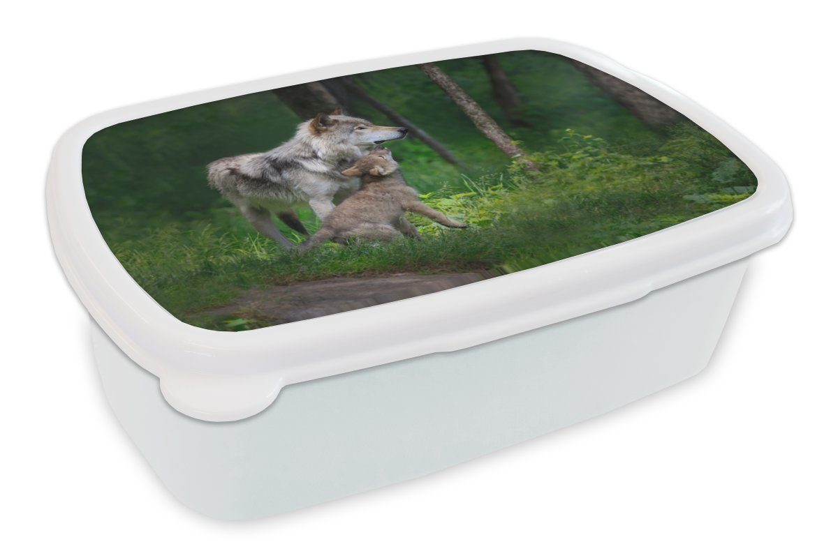 MuchoWow Lunchbox Wolf - Baby - Wald, Kunststoff, (2-tlg), Brotbox für Kinder und Erwachsene, Brotdose, für Jungs und Mädchen weiß