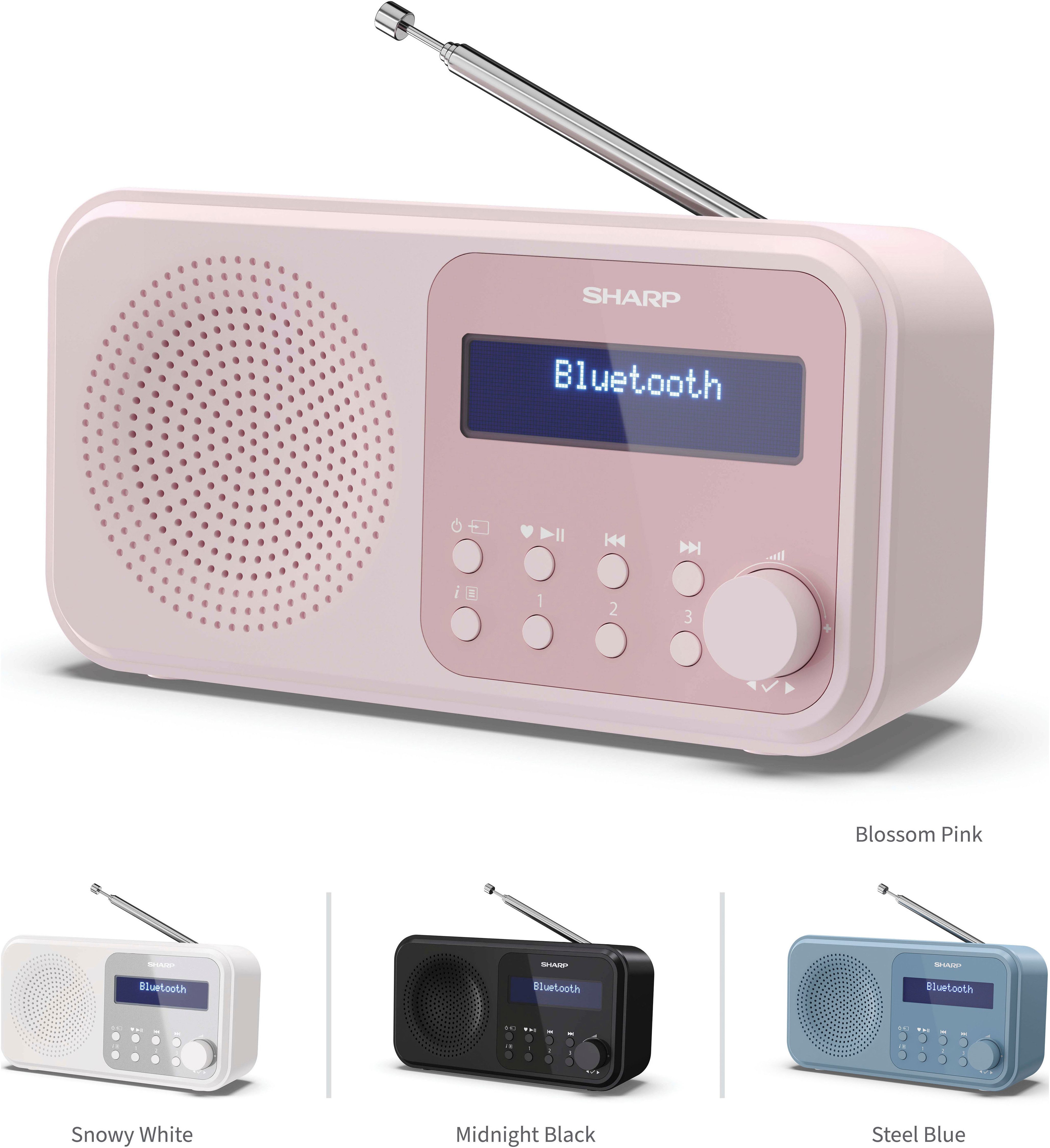 DR-P420 Radio