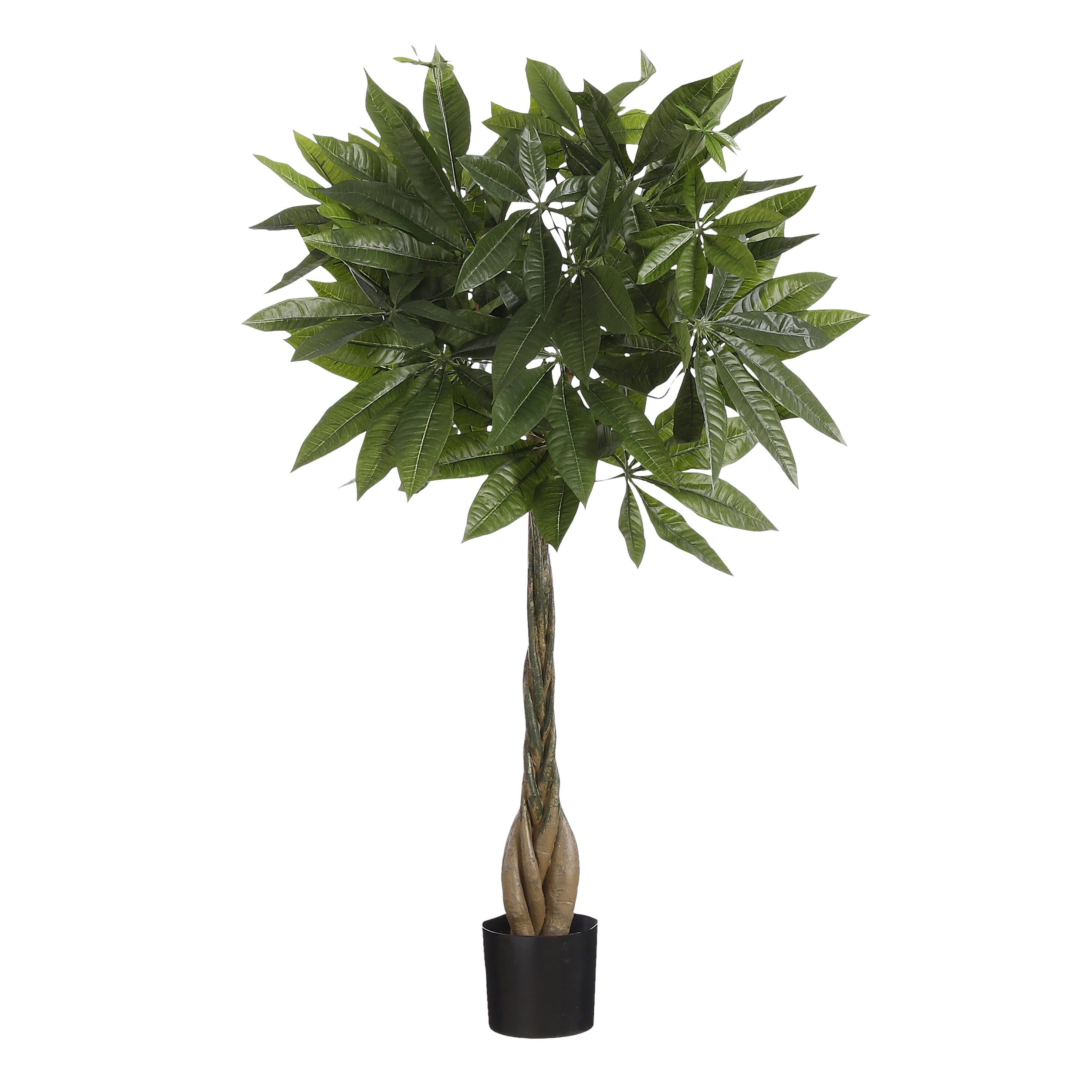Kunstpflanze Mica Decorations Pachira in Topf gruen - h80xd60cm, Mica Decorations, Höhe 80 cm