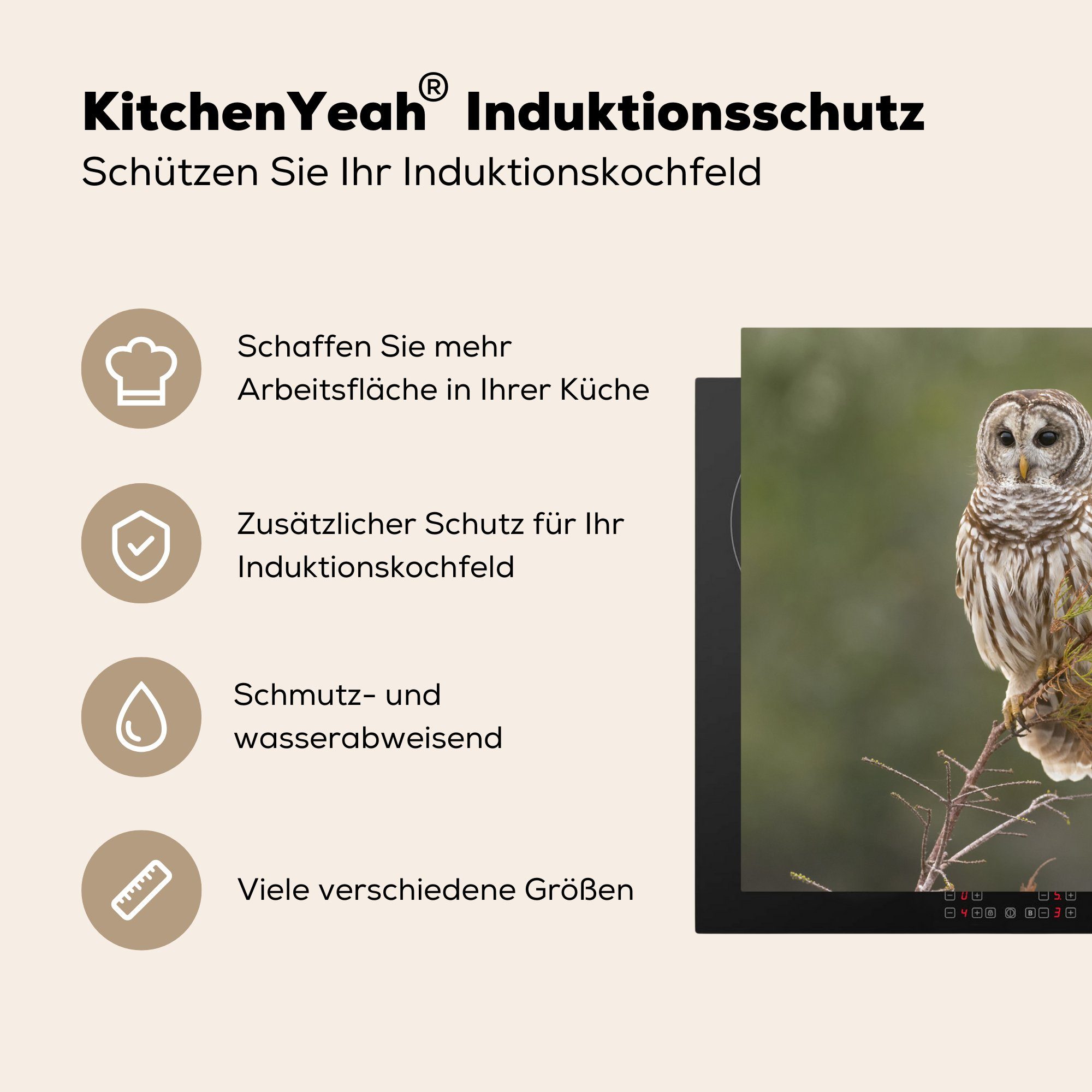 küche - tlg), (1 Zweig, cm, Ceranfeldabdeckung, für Arbeitsplatte Vogel Eule 78x78 Vinyl, Herdblende-/Abdeckplatte - MuchoWow