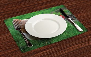 Platzset, Waschbare Stoff Esszimmer Küche Tischdekorations Digitaldruck, Abakuhaus, (4-teilig, 4 Teilig-St., Set aus 4x), Henne Huhn auf Gras Farm Foto