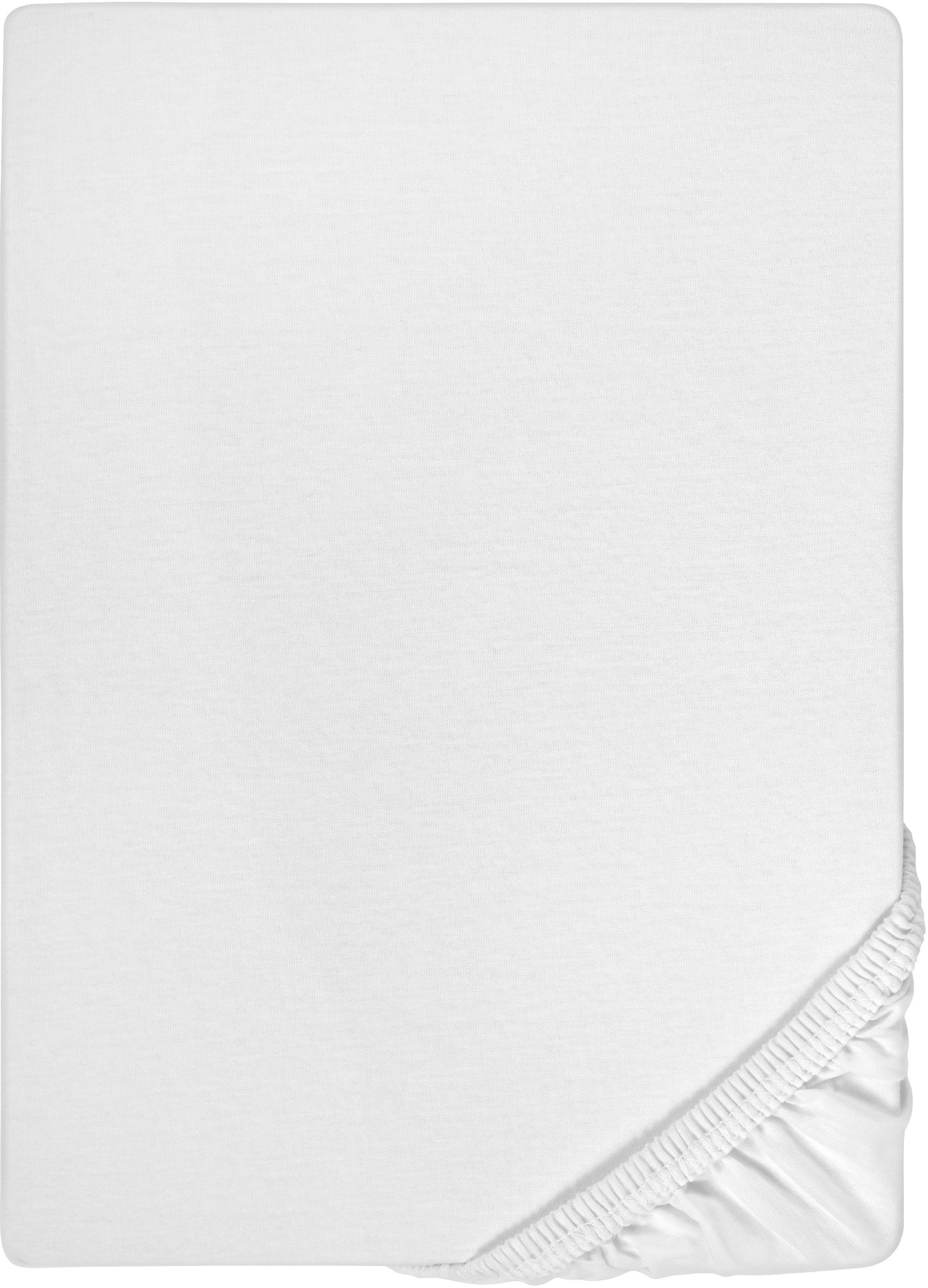 Biberna Spannbettlaken Marc in Gr. 70x140 günstig online kaufen