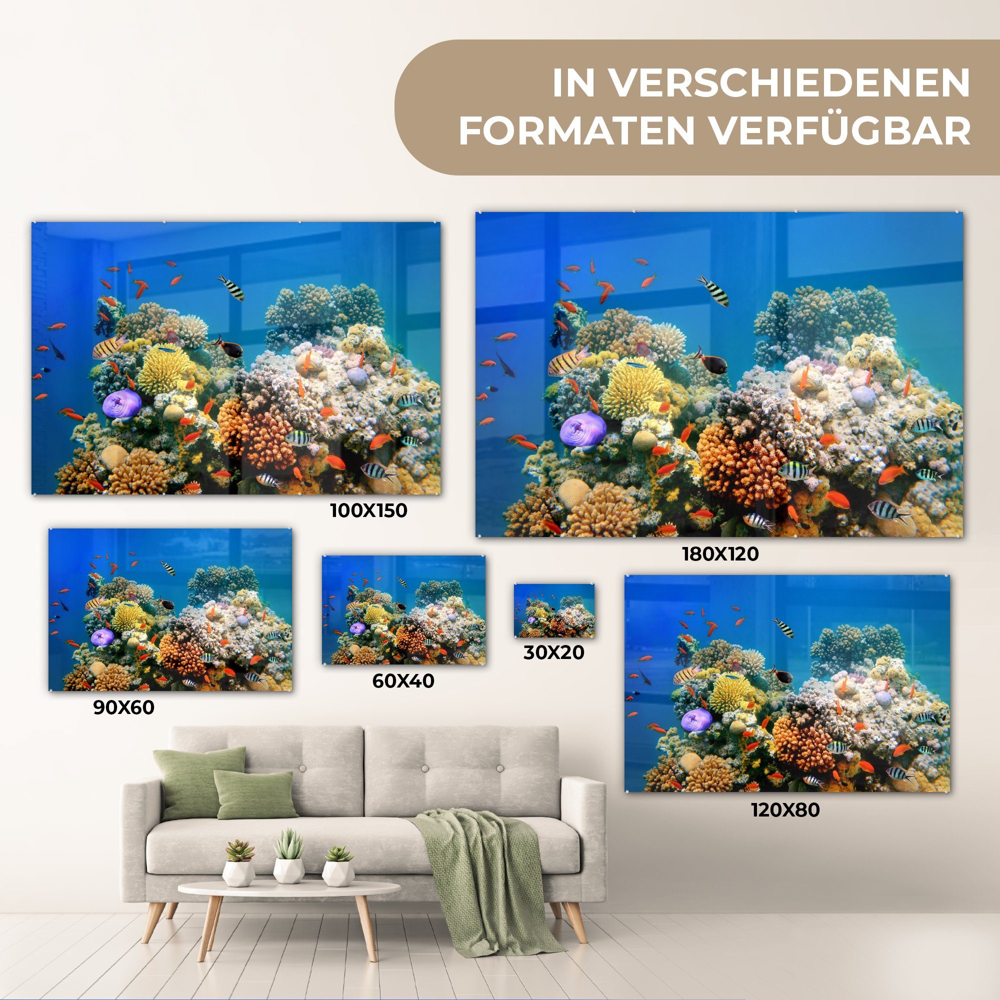 Fische Tropisch (1 MuchoWow - & Acrylglasbild Schlafzimmer Korallen, Acrylglasbilder Wohnzimmer - St),