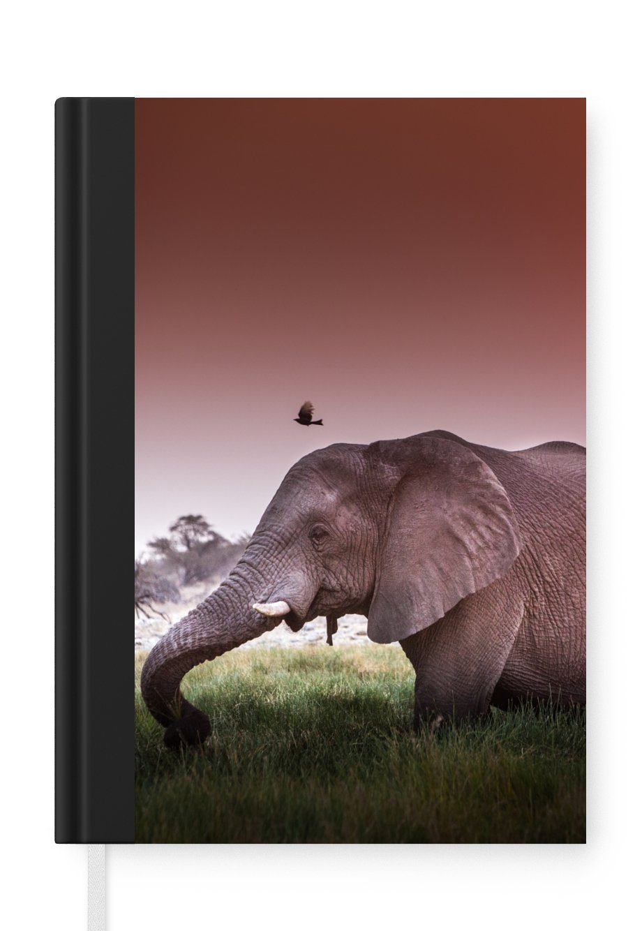 MuchoWow Notizbuch Elefant - Gras - Sonne - Tiere, Journal, Merkzettel, Tagebuch, Notizheft, A5, 98 Seiten, Haushaltsbuch