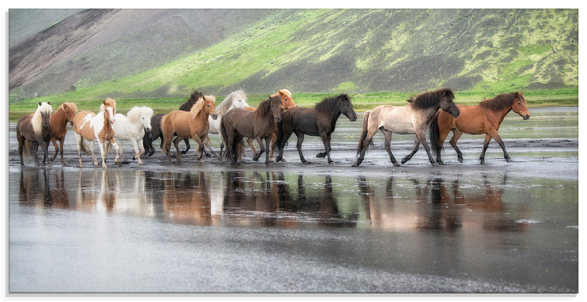 St), Pferde Isländische Haustiere verschiedenen (1 Glasbild Artland in XIV, Größen