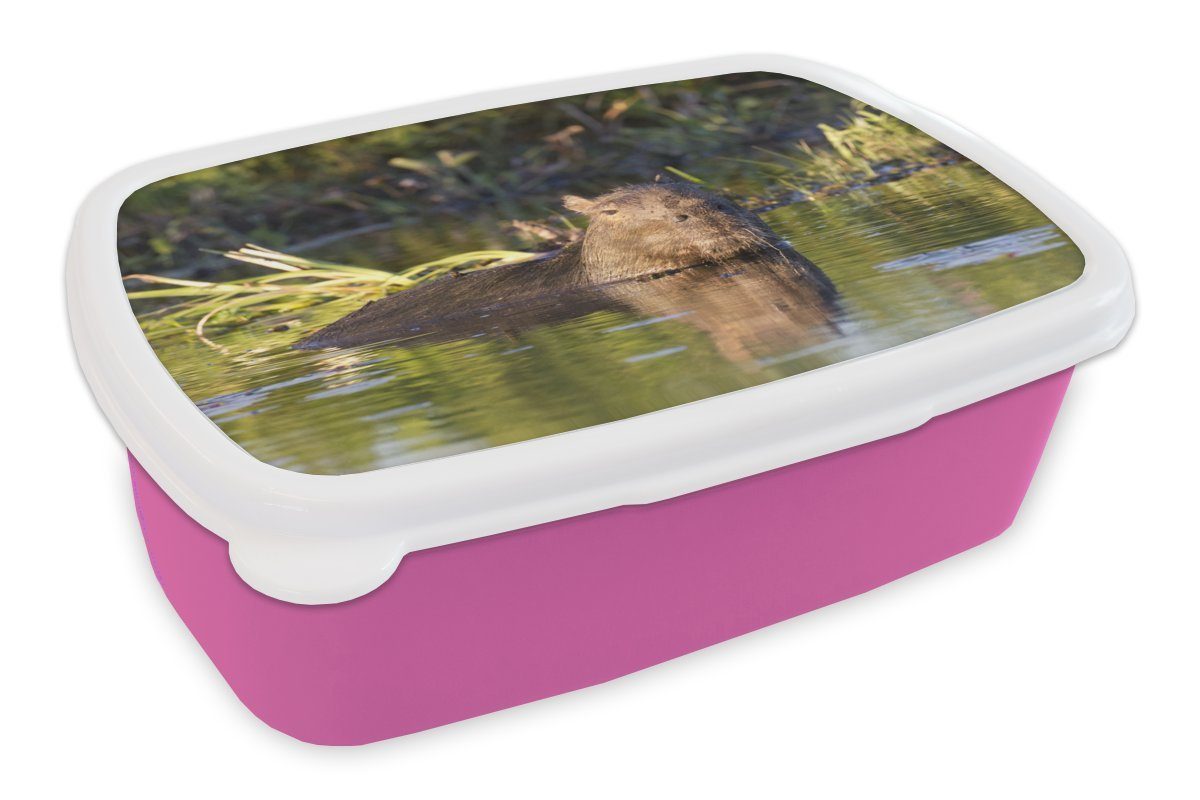 MuchoWow Lunchbox Capybara im Wasser, Kunststoff, (2-tlg), Brotbox für Erwachsene, Brotdose Kinder, Snackbox, Mädchen, Kunststoff rosa