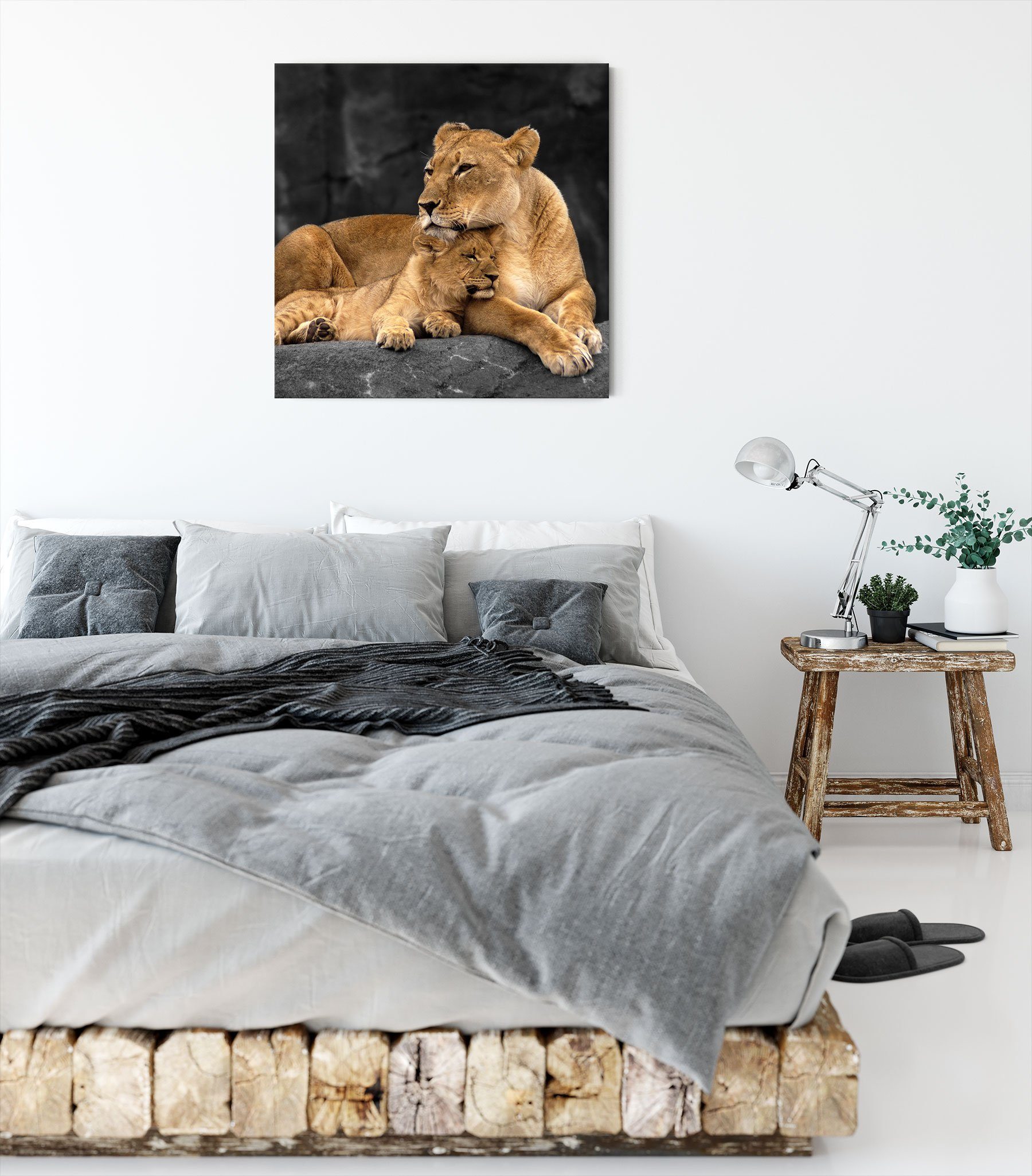 Löwenjungen Löwe inkl. fertig St), bespannt, Leinwandbild Zackenaufhänger Leinwandbild (1 Löwe Pixxprint Löwenjungen,
