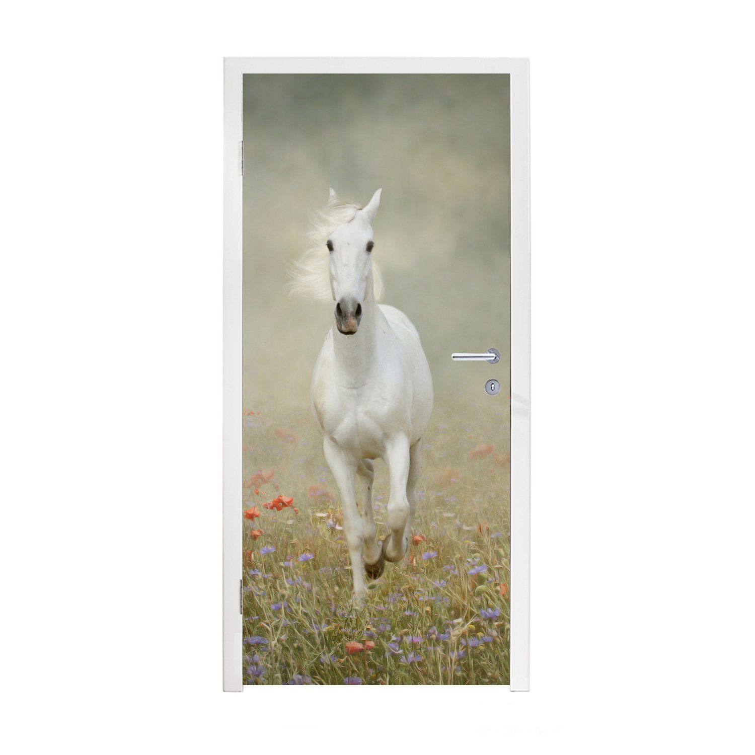 Türtapete Pferd bedruckt, - cm (1 - Fototapete Matt, St), Tür, Blumen, 75x205 Stoff Türaufkleber, für MuchoWow