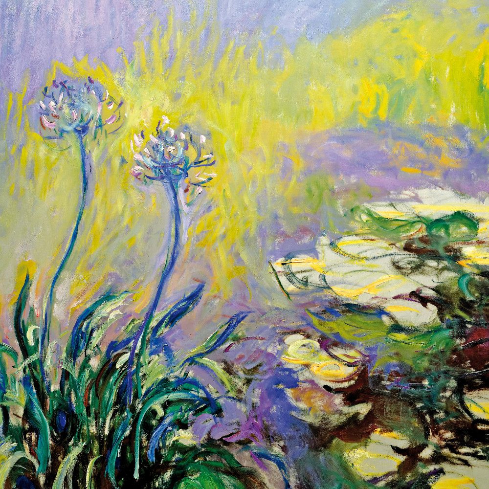 1art1 Poster Claude Monet Kunstdruck Bild - Schmucklilien, Agapanthus