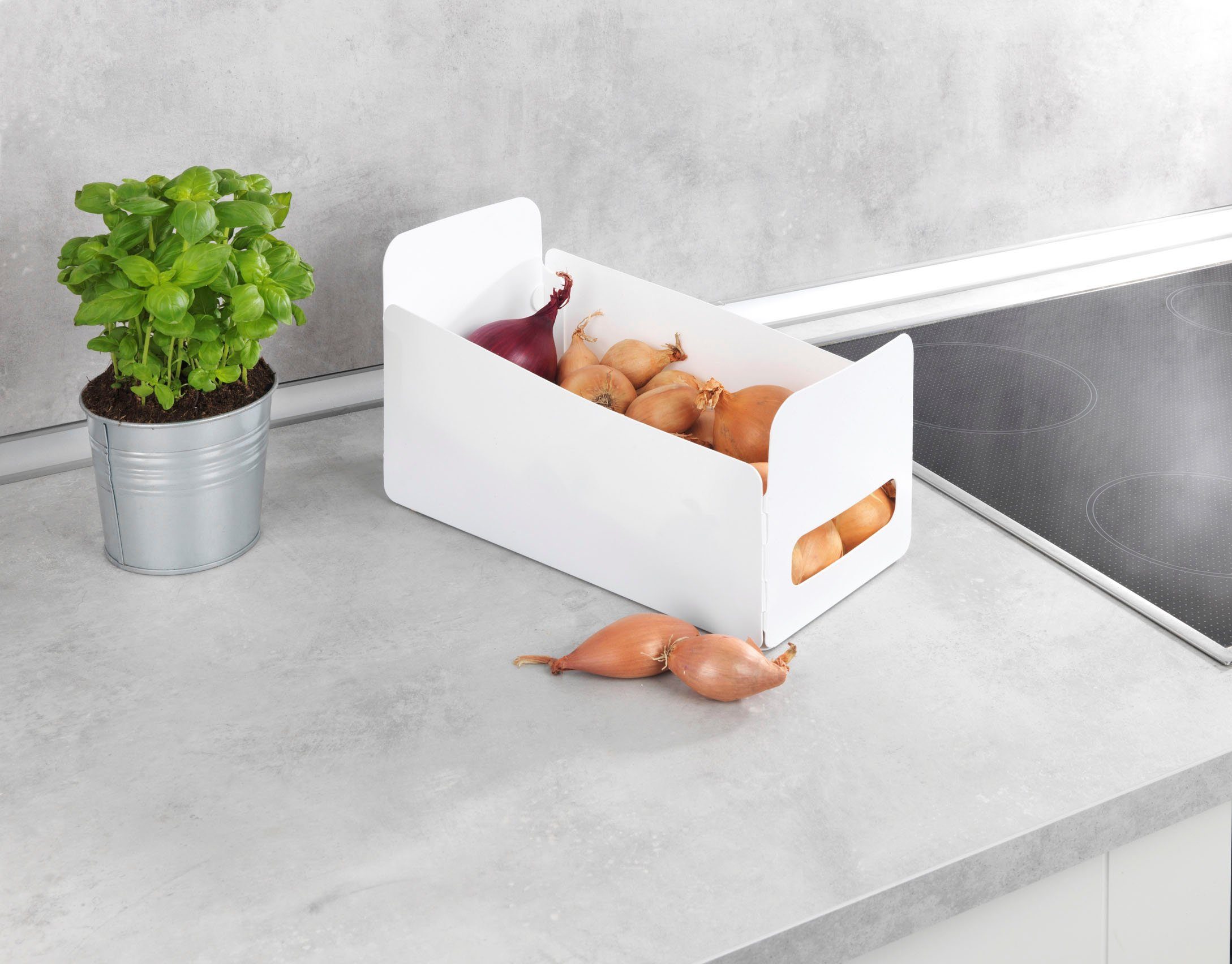 WENKO Organizer Universal (Set, 6 St), faltbar, und Kunststoff für Küche Haushalt