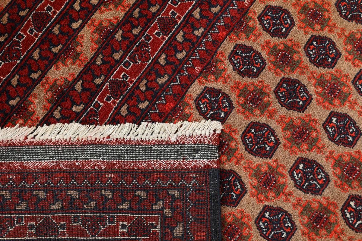 mm Orientteppich rechteckig, Handgeknüpfter Nain Orientteppich, 246x342 Trading, 6 Afghan Mauri Höhe: