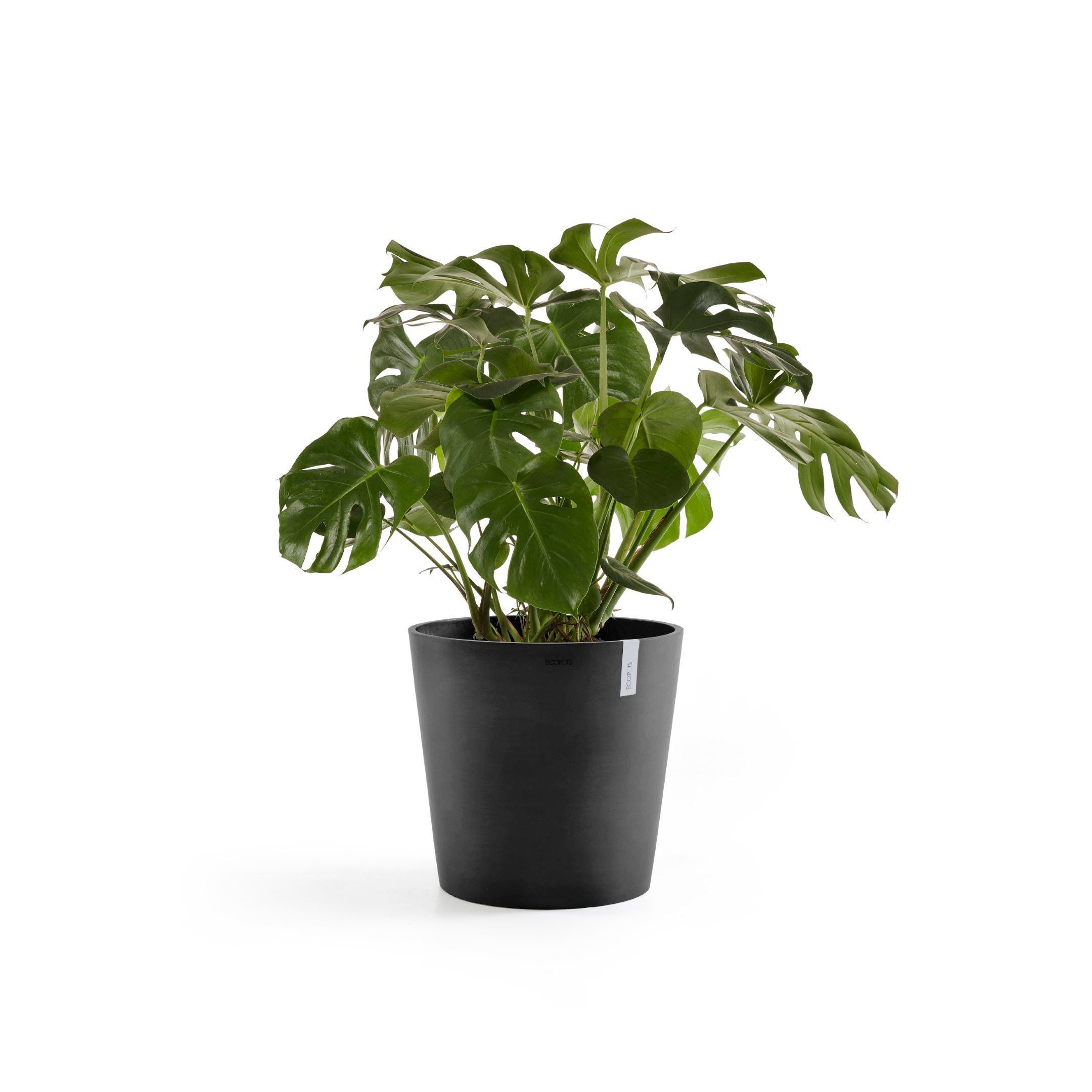 ECOPOTS Blumentopf Amsterdam, ØxH: 60x54,8 cm, CO²-neutrales Produkt