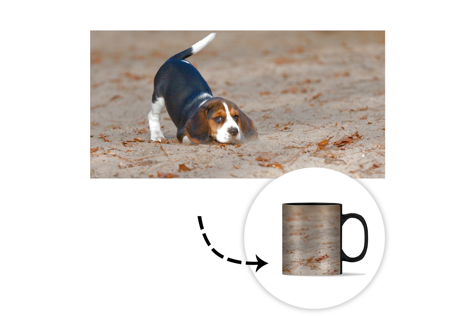 MuchoWow Tasse Ein junger Beagle-Welpe Zaubertasse, Keramik, Sand, spielt Farbwechsel, Teetasse, im Kaffeetassen, Geschenk