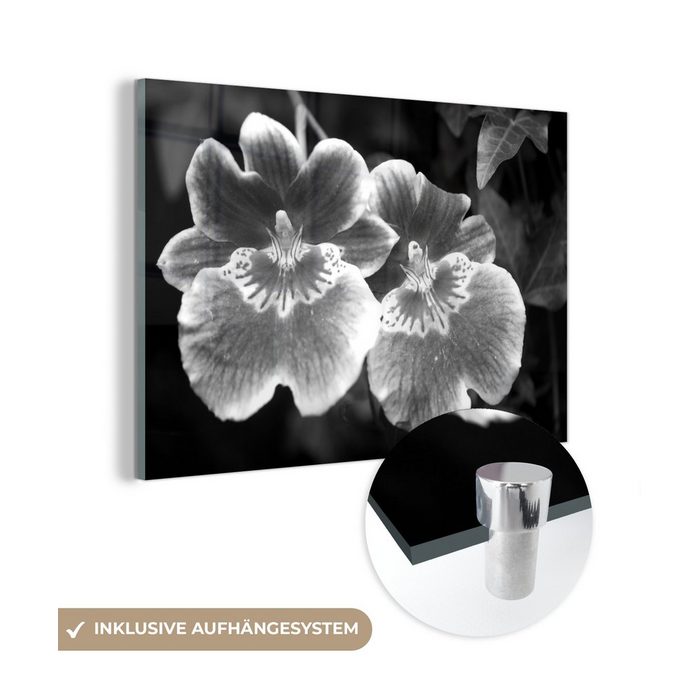 MuchoWow Acrylglasbild Wilde Orchidee - schwarz und weiß (1 St) Acrylglasbilder Wohnzimmer & Schlafzimmer