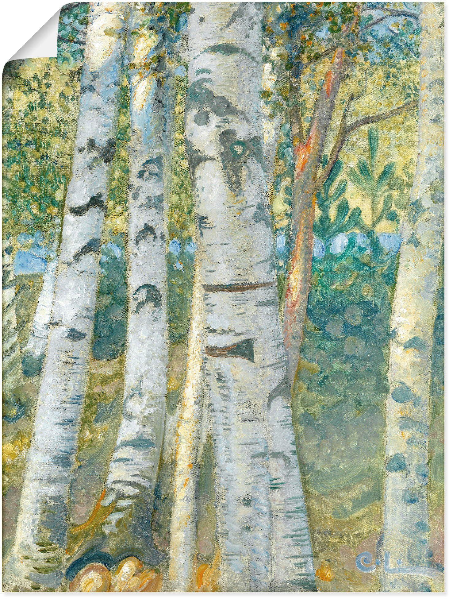 (1 Wandbild Artland Leinwandbild, Größen 1910, Poster Birkenstämme. St), Wandaufkleber als Bäume in oder versch.