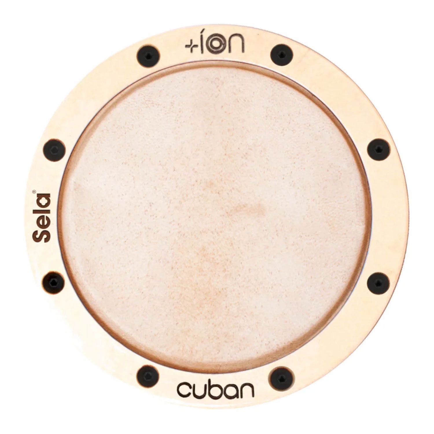 Sela Cajon Sela Schlagfläche SE-ION2 Ion Cuban für Cajon,Schlagfläche für Cajon, Austauschbare Schlagfläche für Cajon