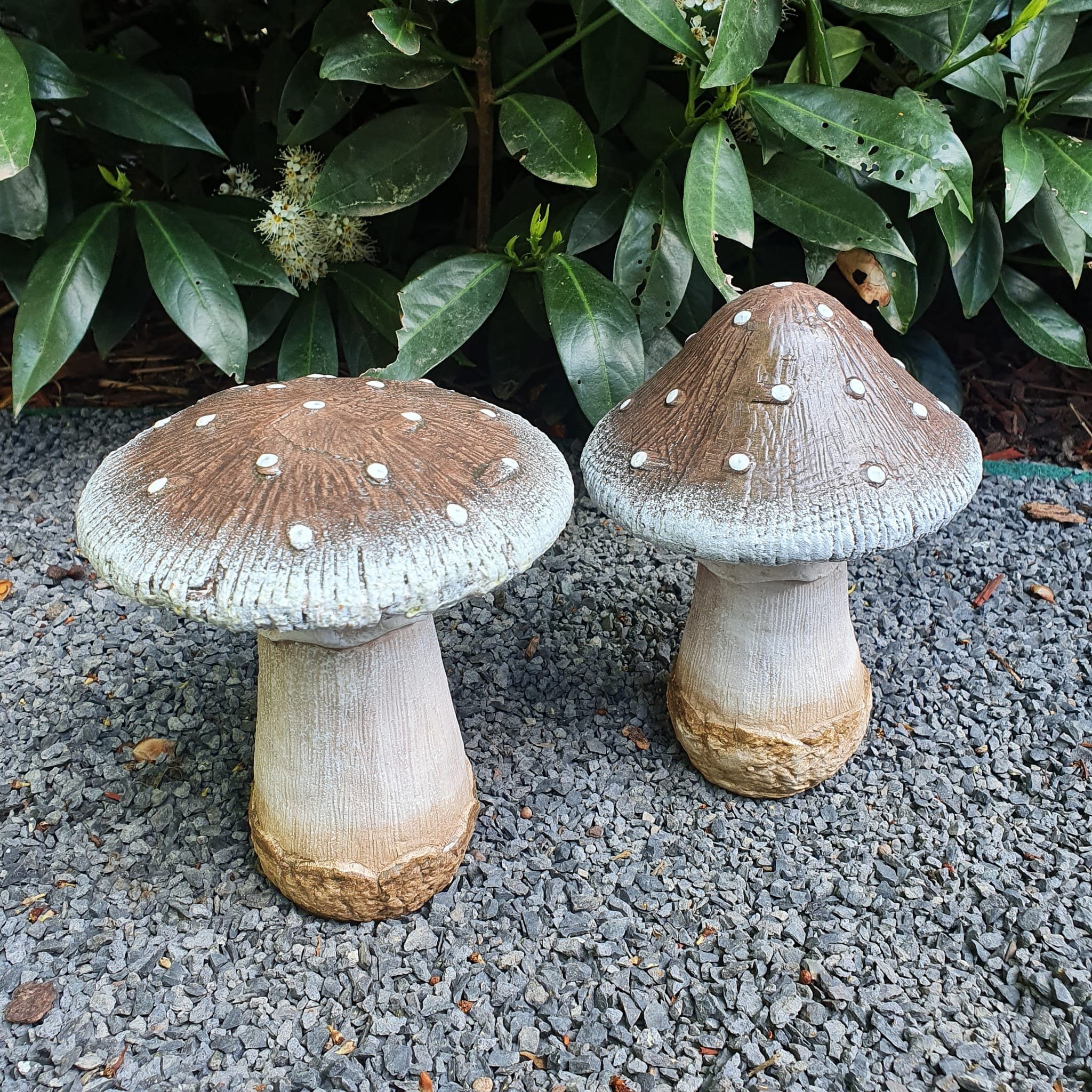 Aspinaworld Gartenfigur Fliegenpilz 2er Set 13 cm wetterfest günstig online kaufen