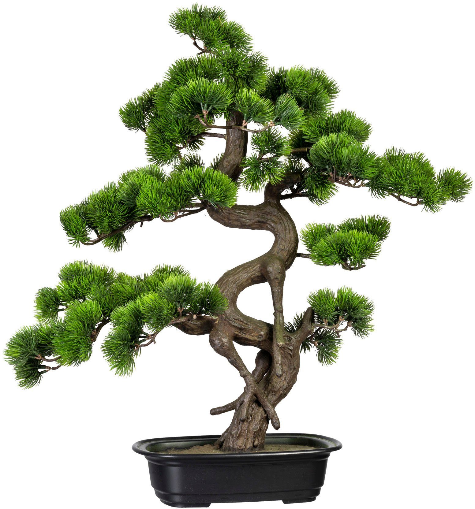 Kunstbonsai Bonsai Kiefer Bonsai Kiefer, Creativ günstig online kaufen