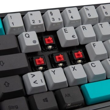 Ducky Miya Pro Moonlight TKL PC/Mac Gaming-Tastatur (MX-Red, weiße LED, dunkelgrau, USB)