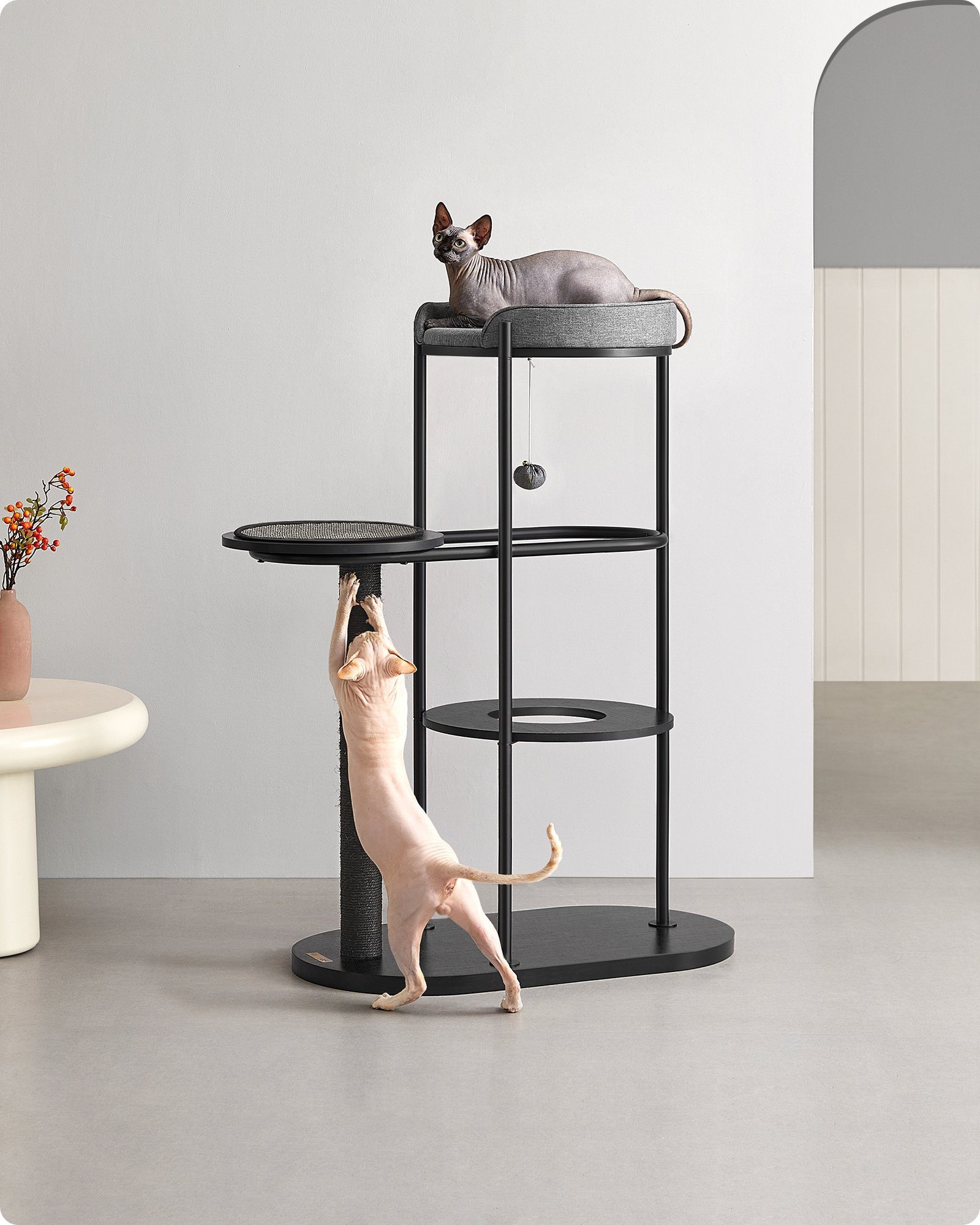 FEANDREA Kratzbaum Katzenbaum, mit Kissen und Plattform, Sisalstamm, Katzenspielball, Metallrohre, 80 x 43 x 111 cm, für kleine, große, alte Katze
