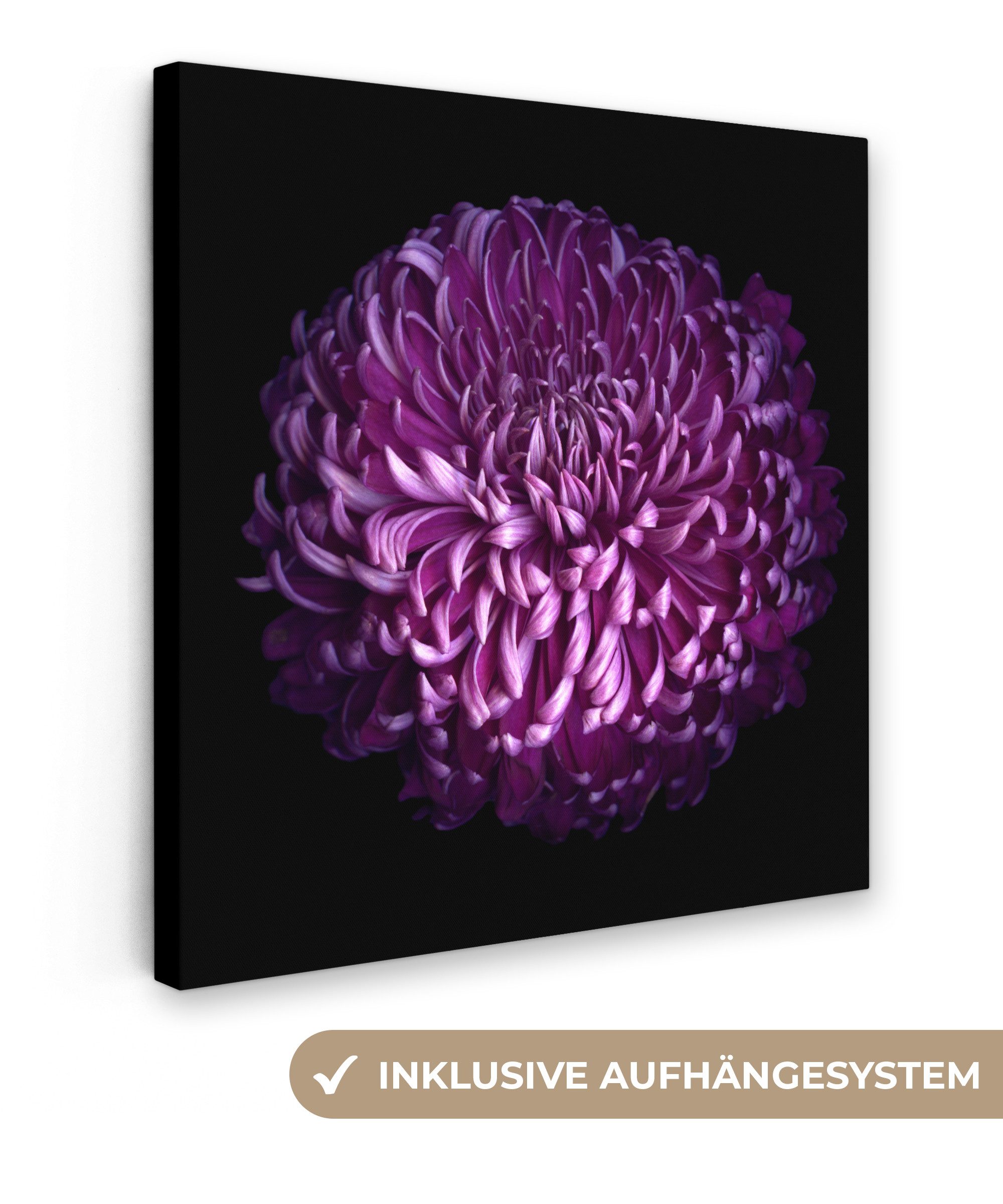 OneMillionCanvasses® Leinwandbild Die Blätter einer lila günstig online kaufen