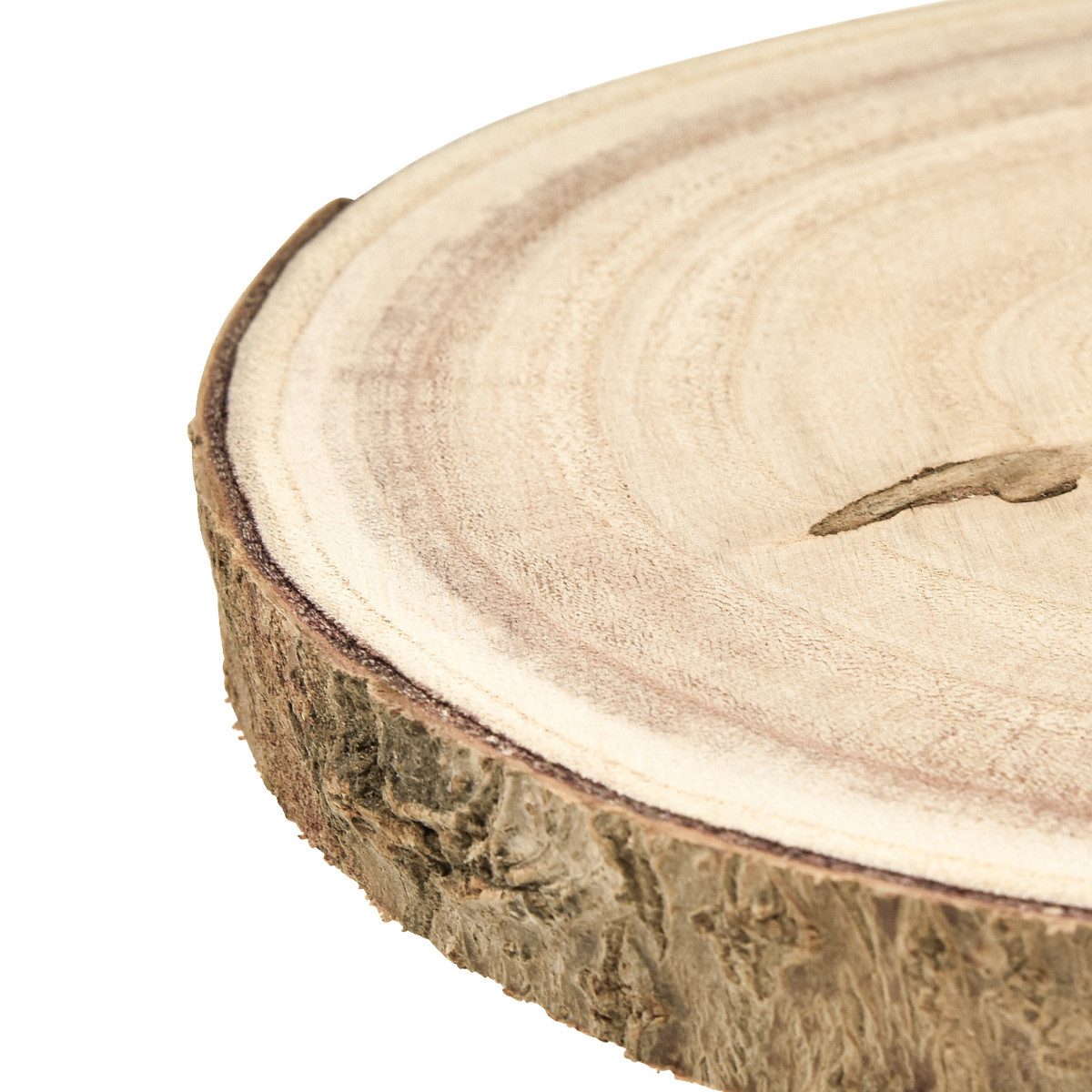 Trockenblume Baumscheibe Paulownia Ø20-25cm Natur Deko günstig online kaufen
