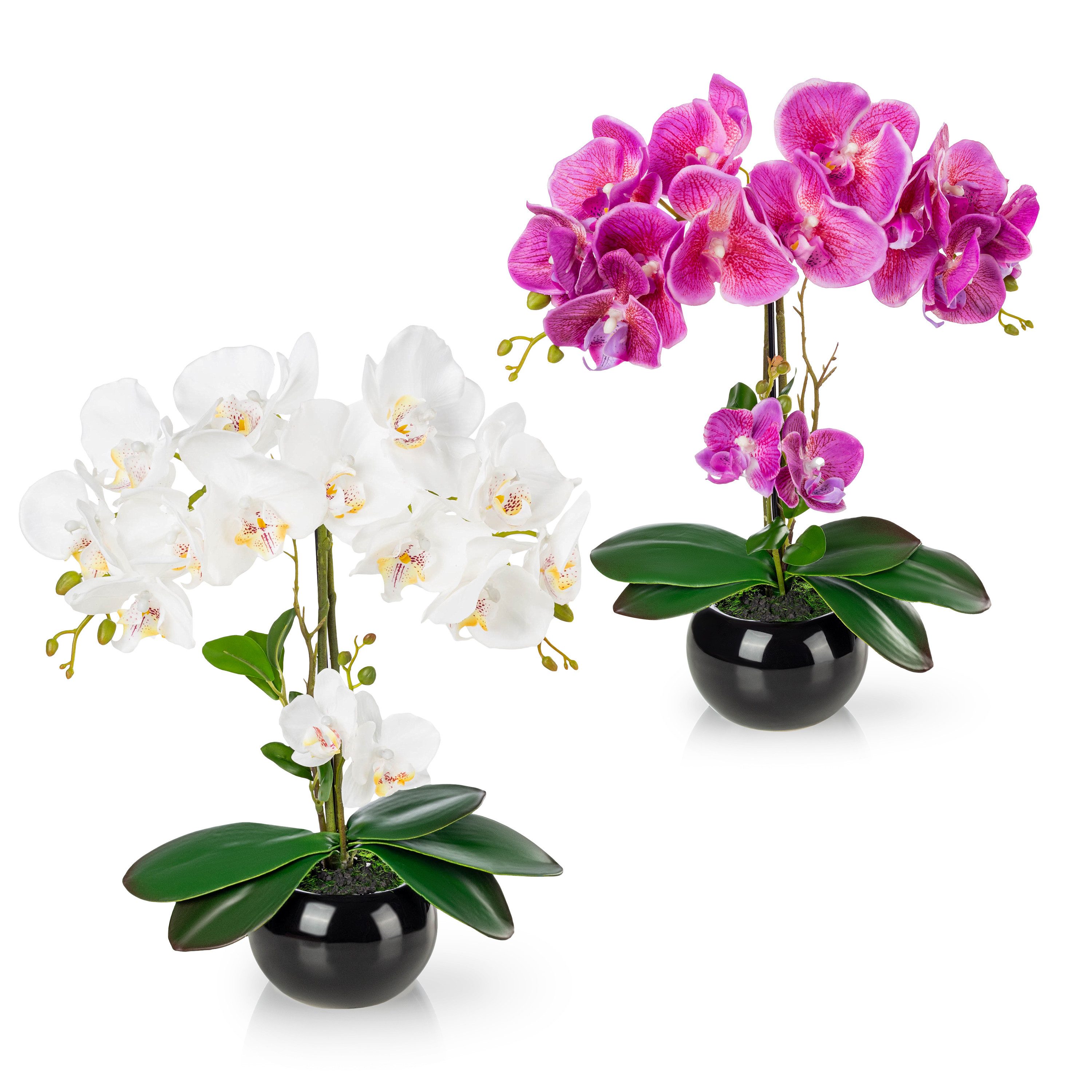 Kunstorchidee PASCH® Orchidee künstlich wie echt (40cm) in Hochglanz-Keramiktopf Orchidee, PASCH