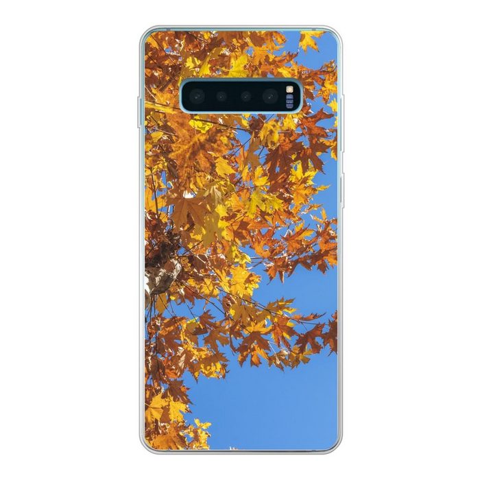 MuchoWow Handyhülle Herbst - Bäume - Orange Phone Case Handyhülle Samsung Galaxy S10 Lite Silikon Schutzhülle