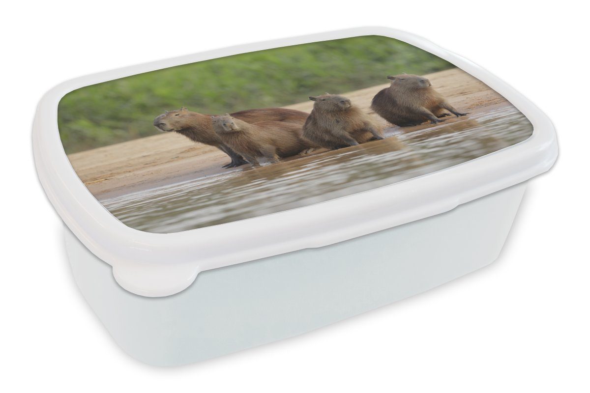 MuchoWow Lunchbox Familie Capibara am Wasser, Kunststoff, (2-tlg), Brotbox für Kinder und Erwachsene, Brotdose, für Jungs und Mädchen weiß